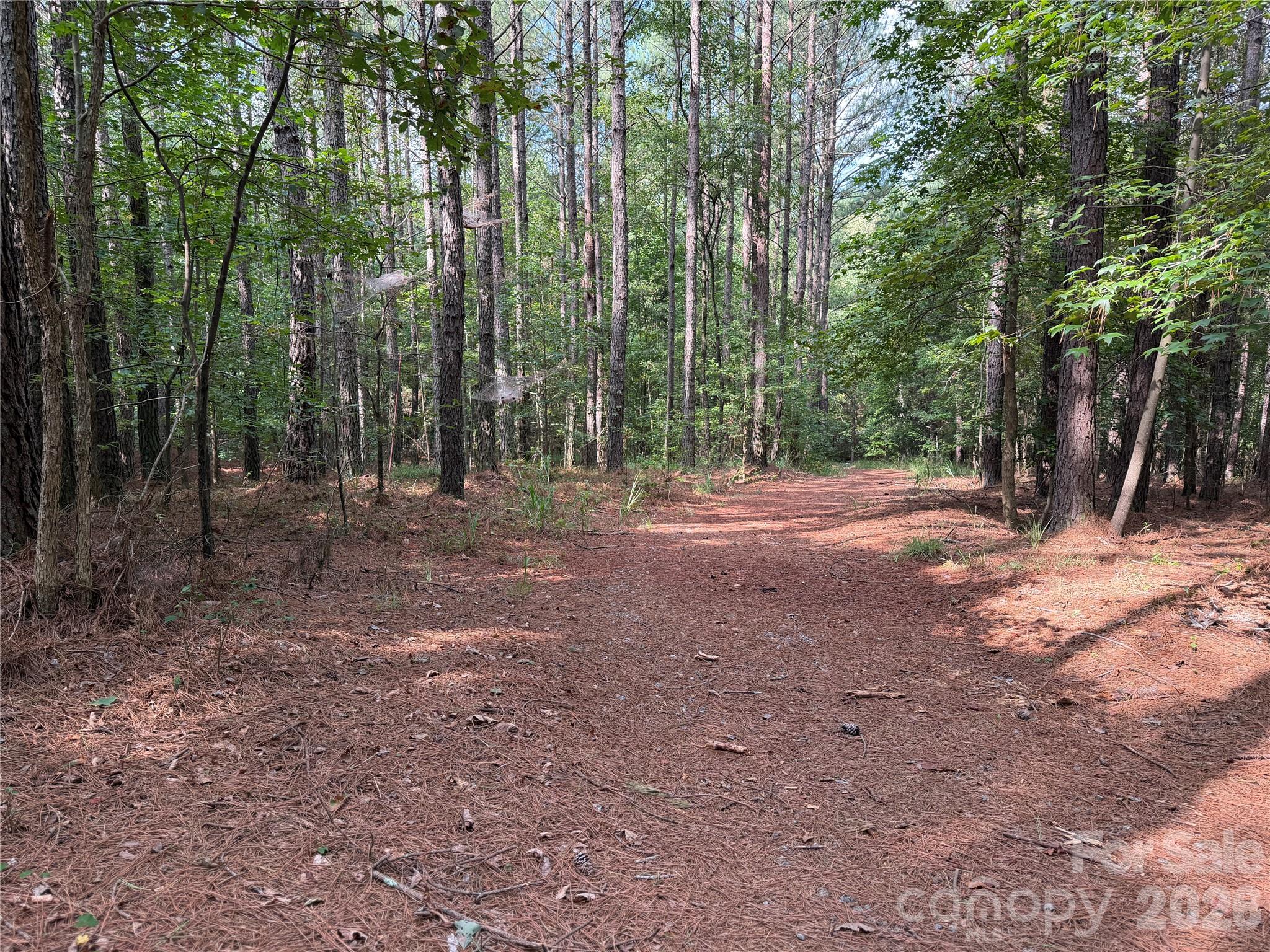 151 Whispering Pines Lane Property Photo 11