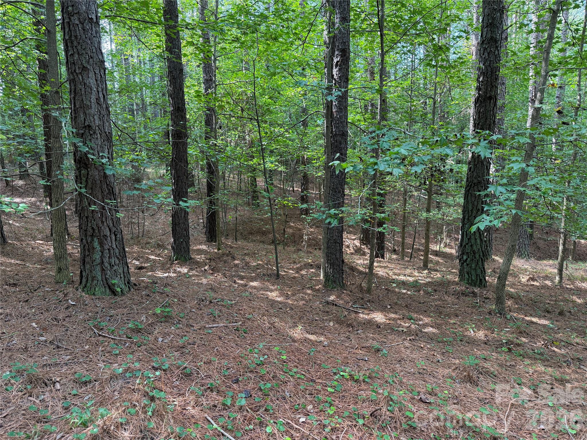 151 Whispering Pines Lane Property Photo 12