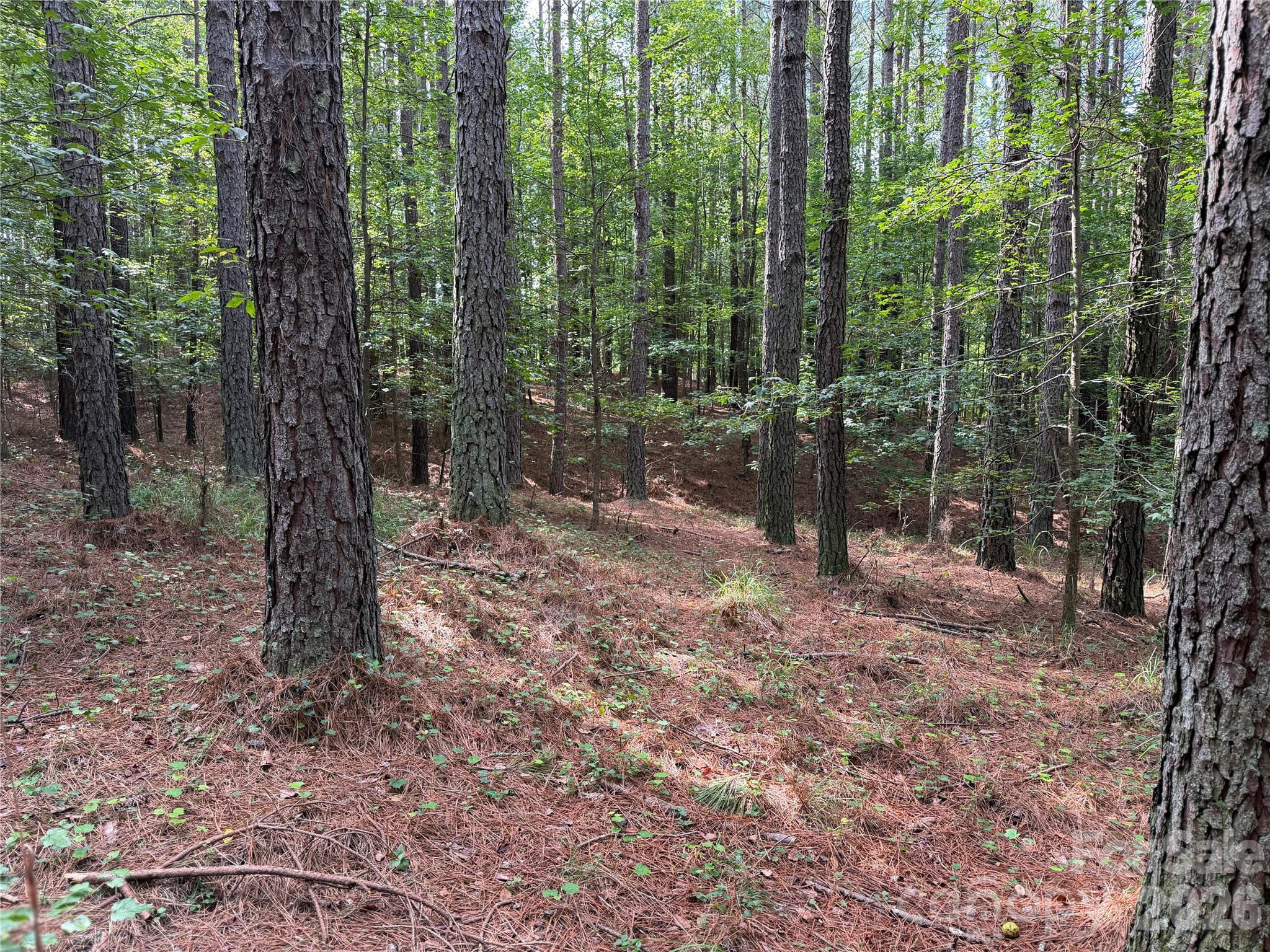 151 Whispering Pines Lane Property Photo 13