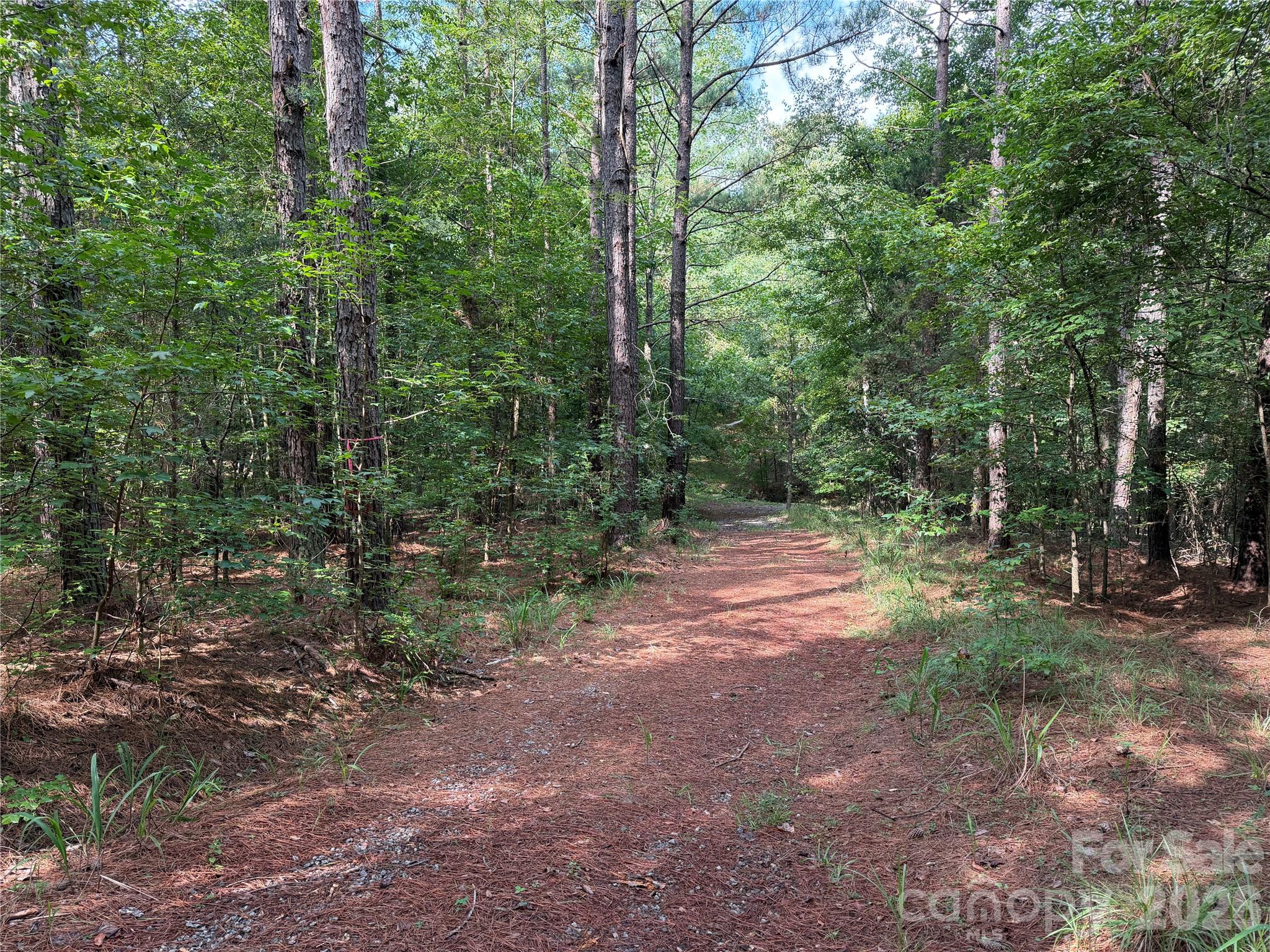 151 Whispering Pines Lane Property Photo 14
