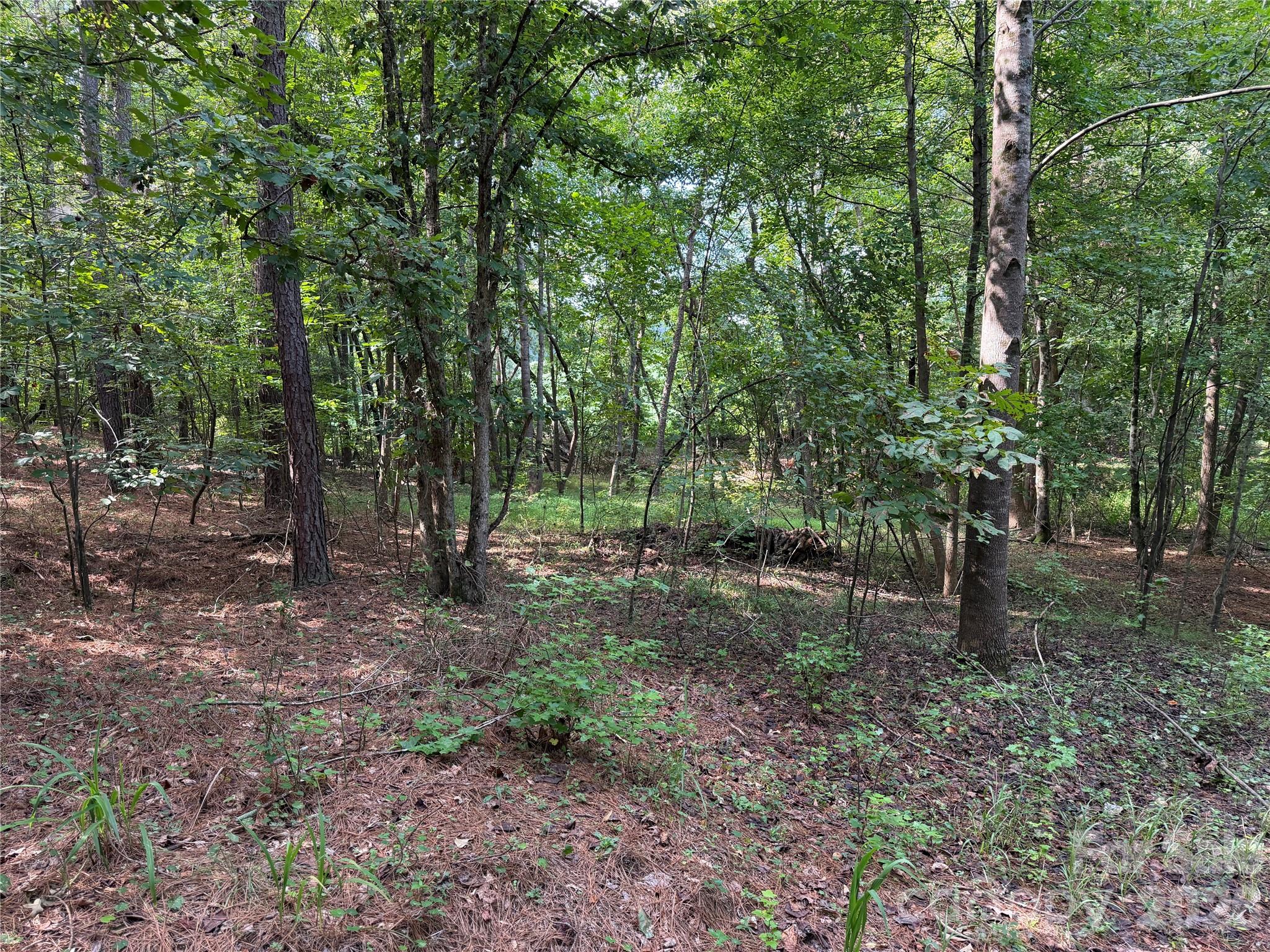151 Whispering Pines Lane Property Photo 15