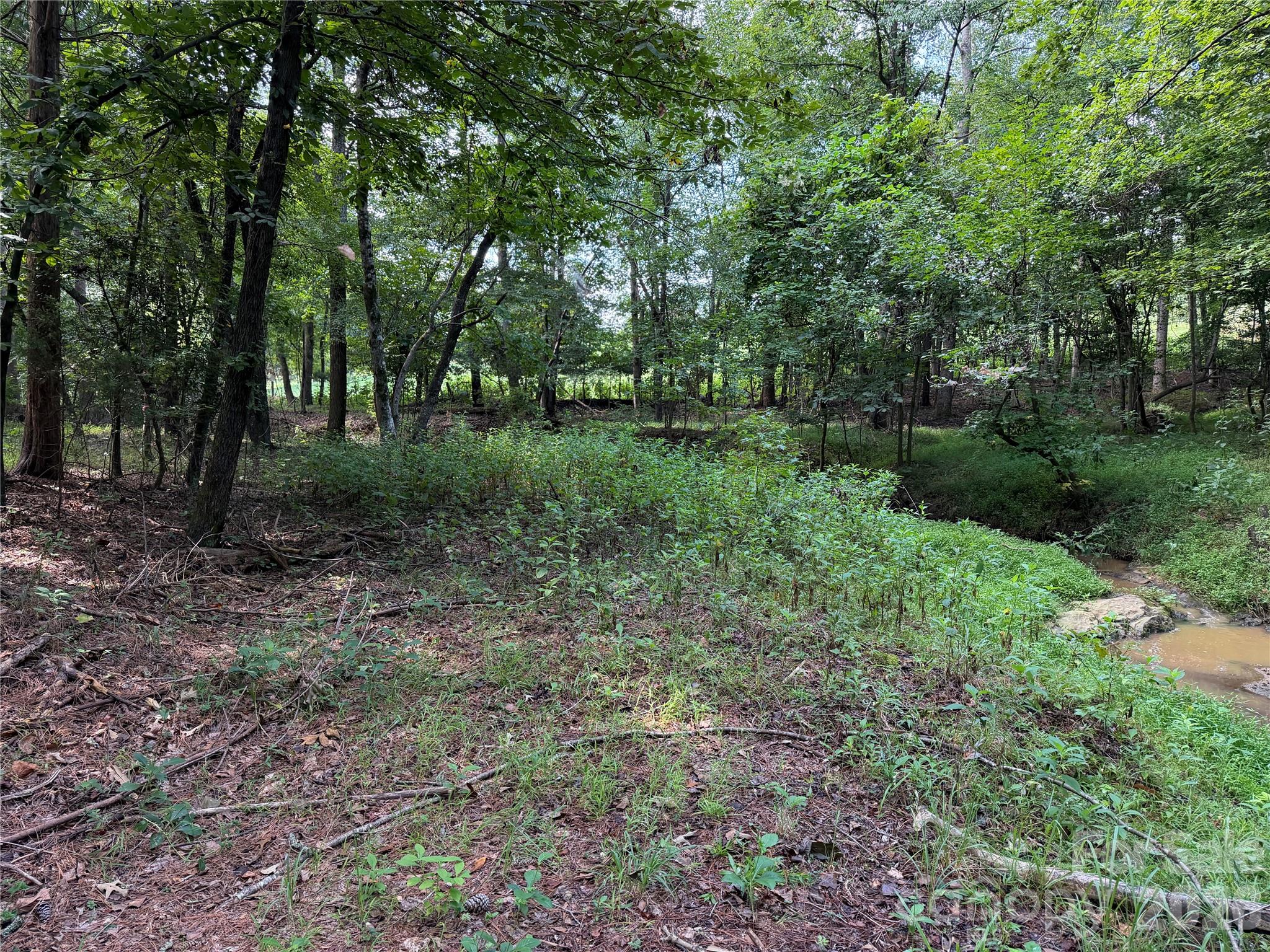 151 Whispering Pines Lane Property Photo 18