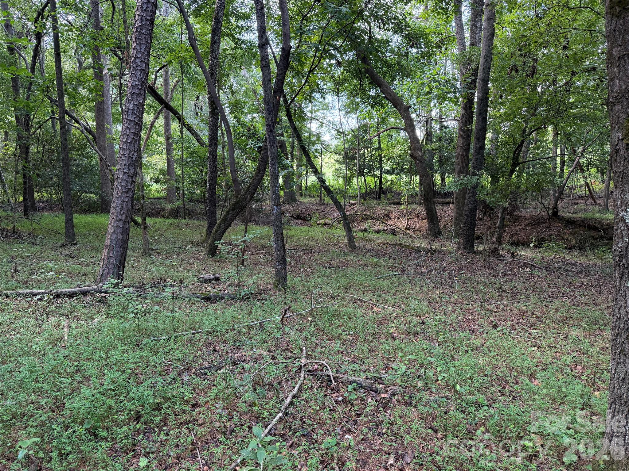 151 Whispering Pines Lane Property Photo 19