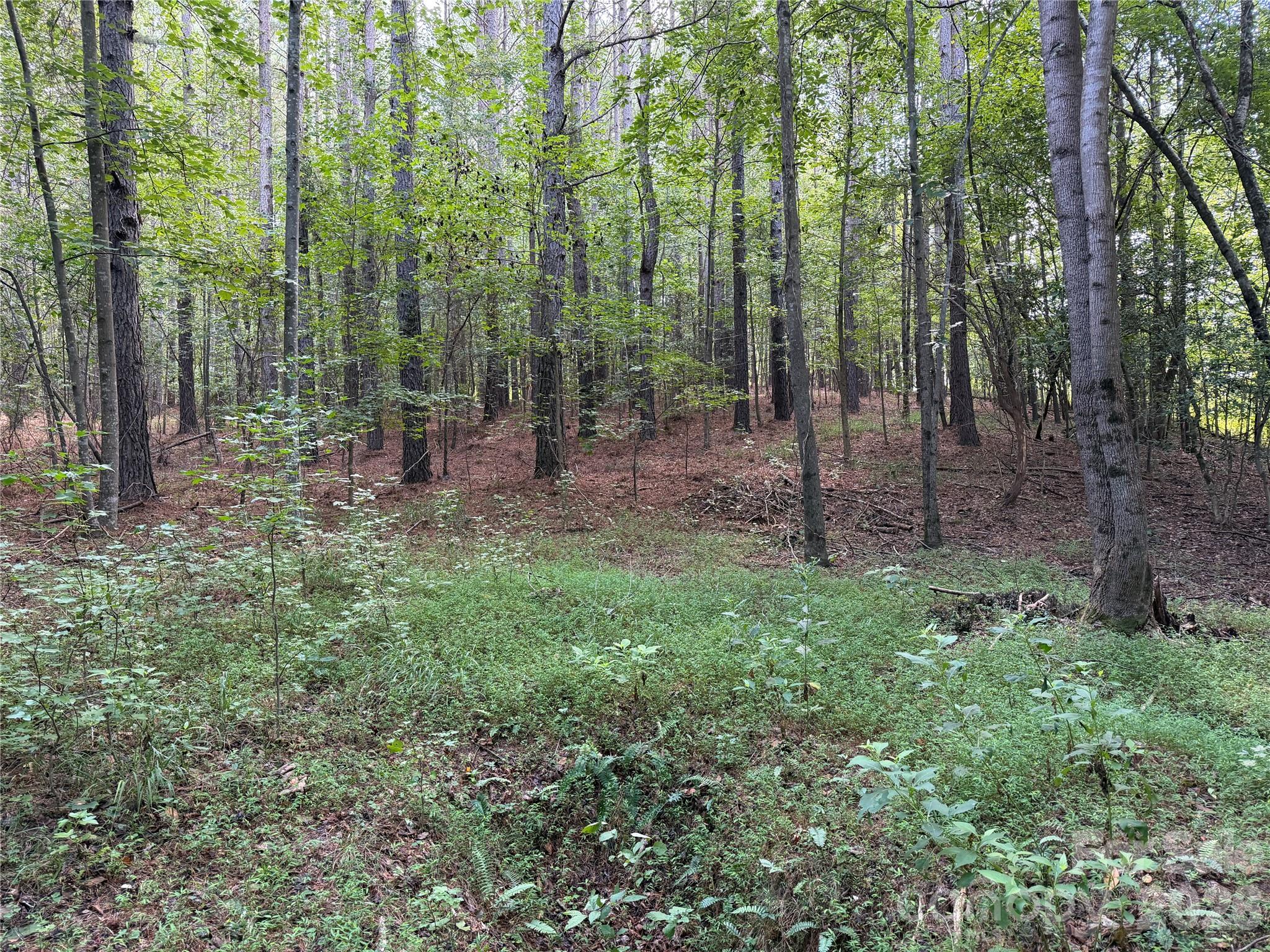 151 Whispering Pines Lane Property Photo 20