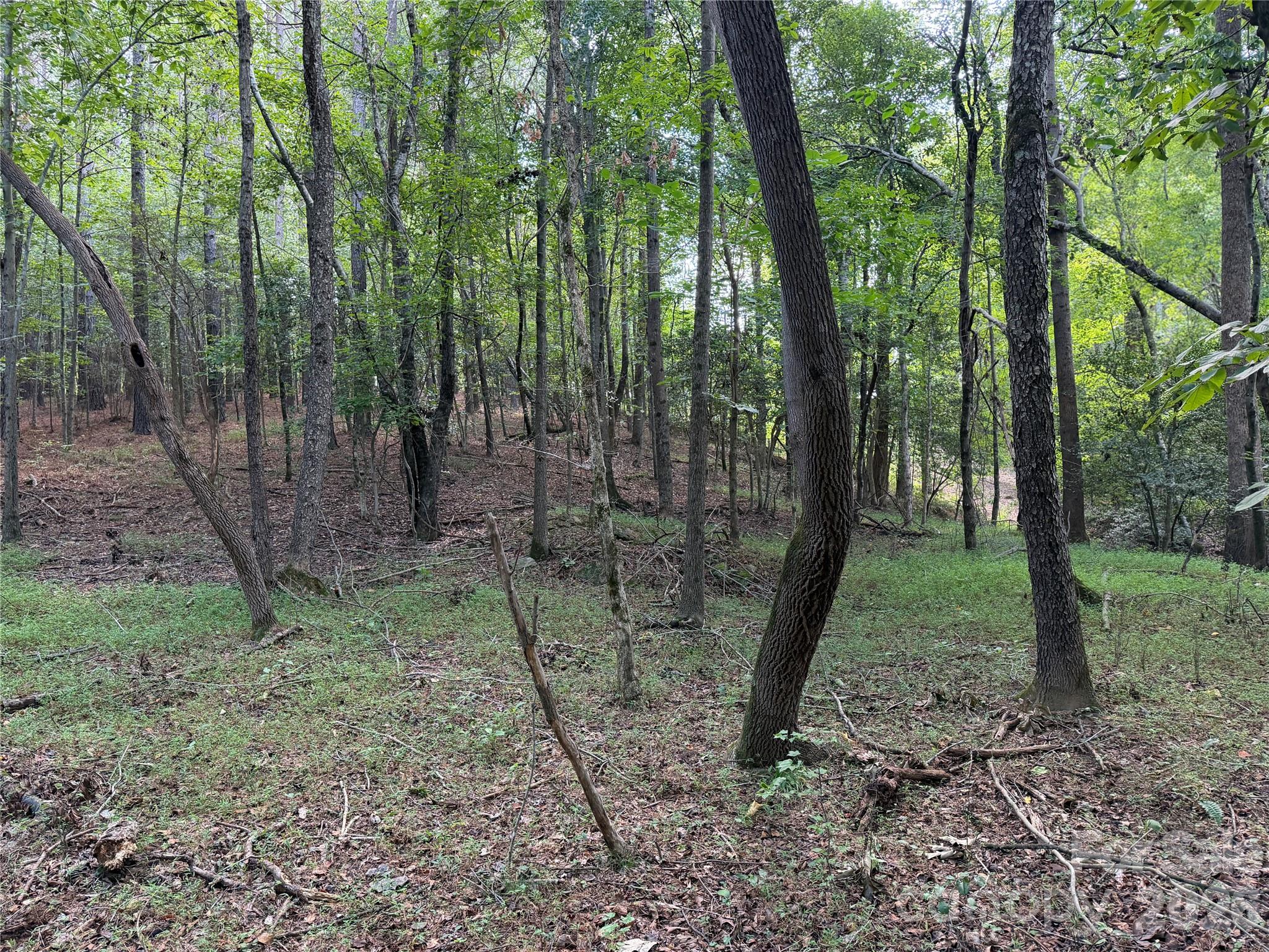 151 Whispering Pines Lane Property Photo 21