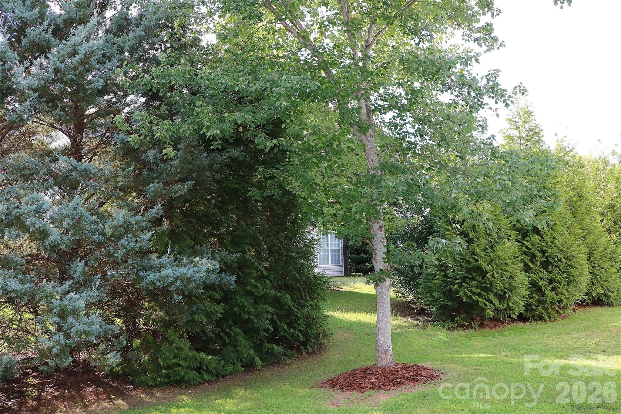 4409 Squirrel Trail Lane Property Photo 28