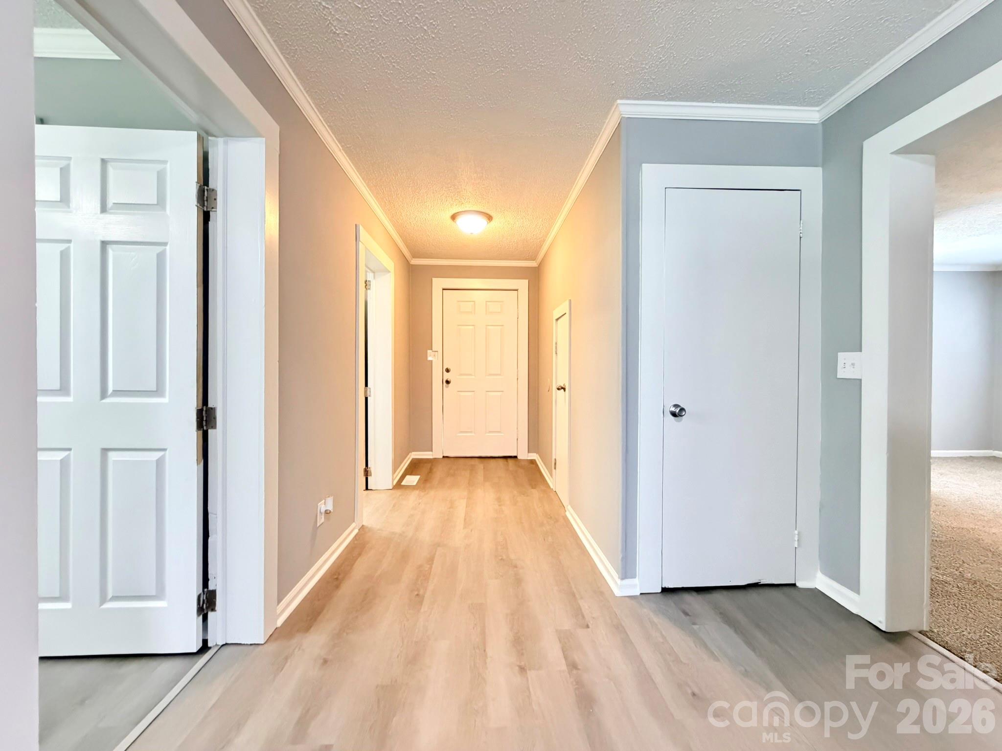 301 Magnolia Street Property Photo 20