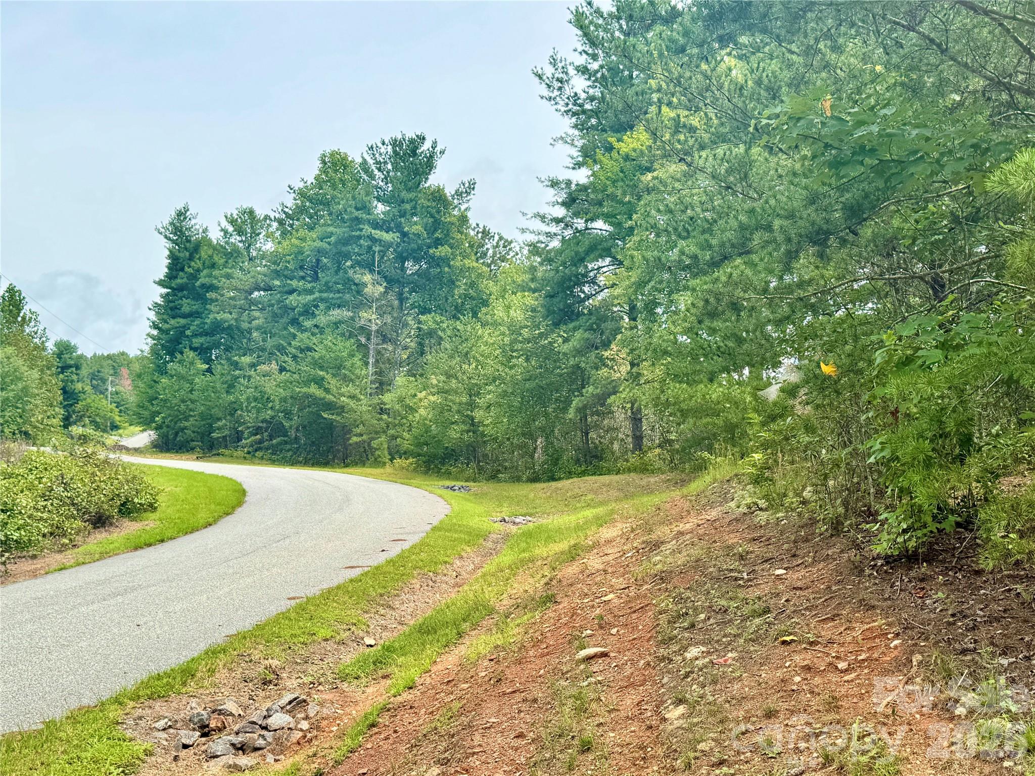 1.46 Acres, Lot 48 Tomahawk Ridge Drive Lot 48 Property Photo 2