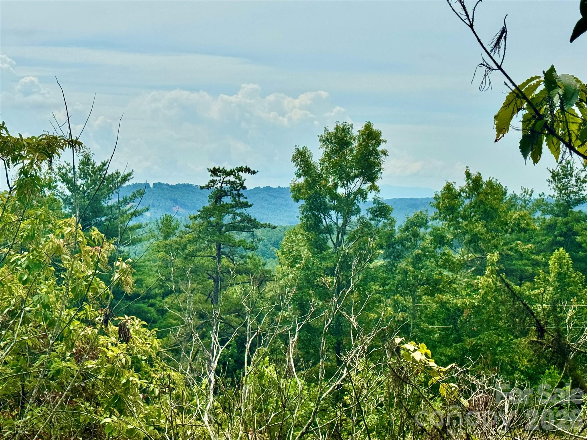 1.46 Acres, Lot 48 Tomahawk Ridge Drive Lot 48 Property Photo 4