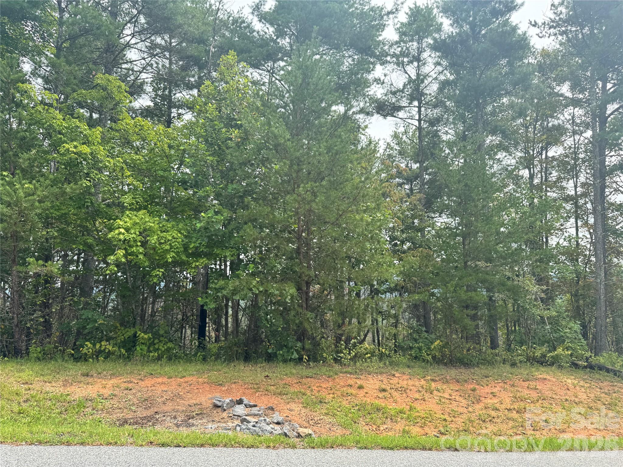 1.46 Acres, Lot 48 Tomahawk Ridge Drive Lot 48 Property Photo 6
