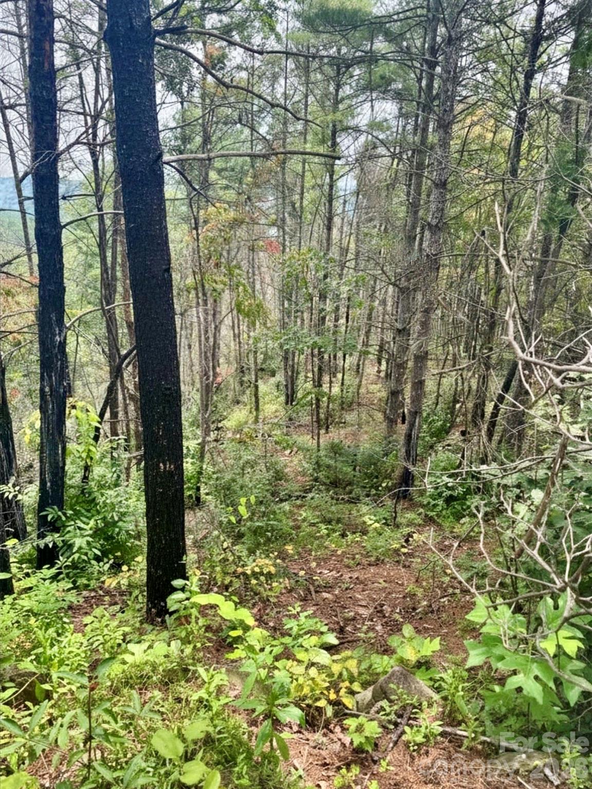 1.46 Acres, Lot 48 Tomahawk Ridge Drive Lot 48 Property Photo 7