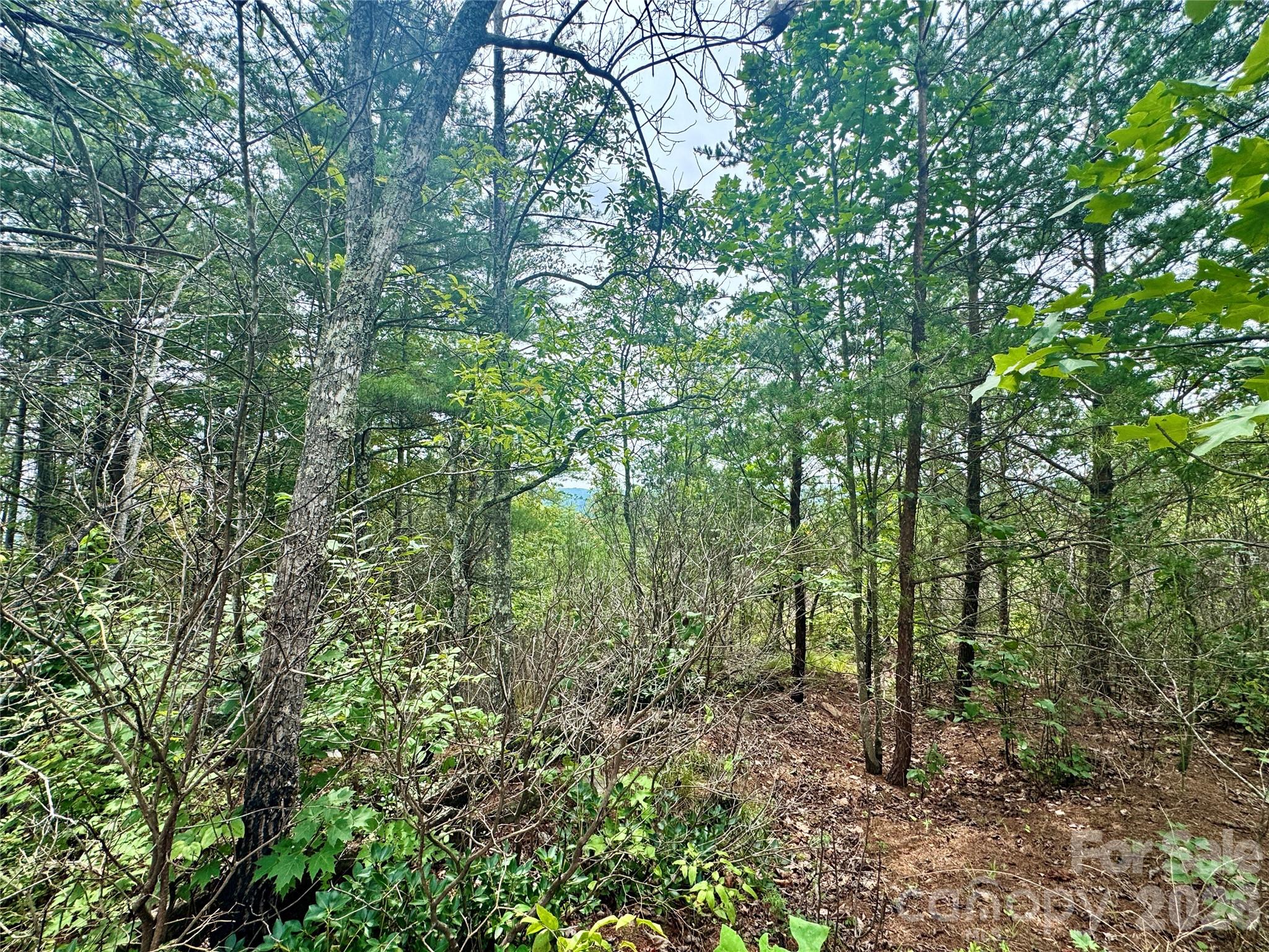1.46 Acres, Lot 48 Tomahawk Ridge Drive Lot 48 Property Photo 9