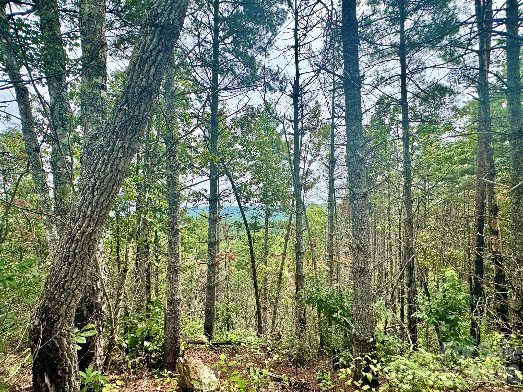 1.46 Acres, Lot 48 Tomahawk Ridge Drive Lot 48 Property Photo 10