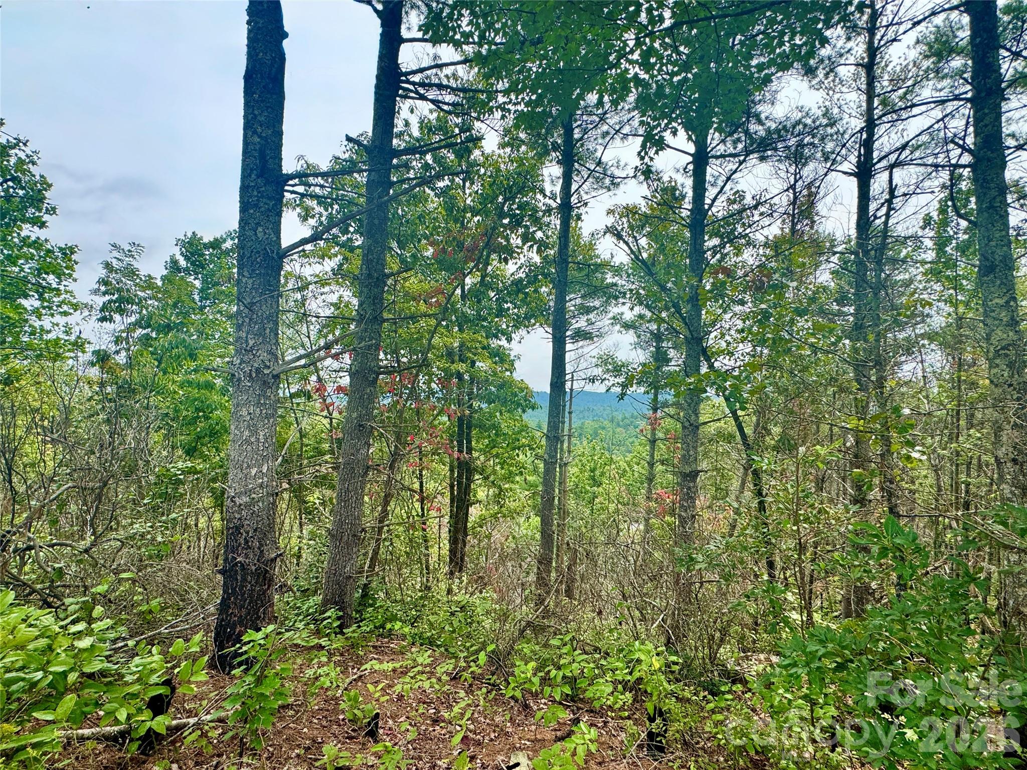 1.46 Acres, Lot 48 Tomahawk Ridge Drive Lot 48 Property Photo 11