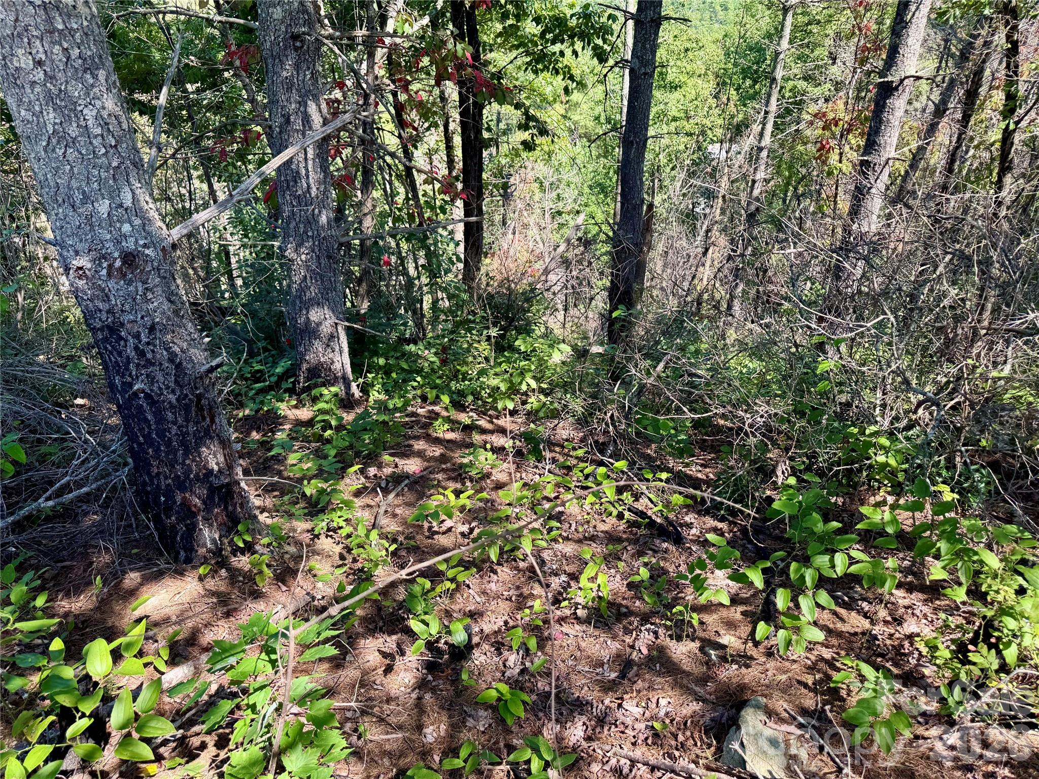 1.46 Acres, Lot 48 Tomahawk Ridge Drive Lot 48 Property Photo 12
