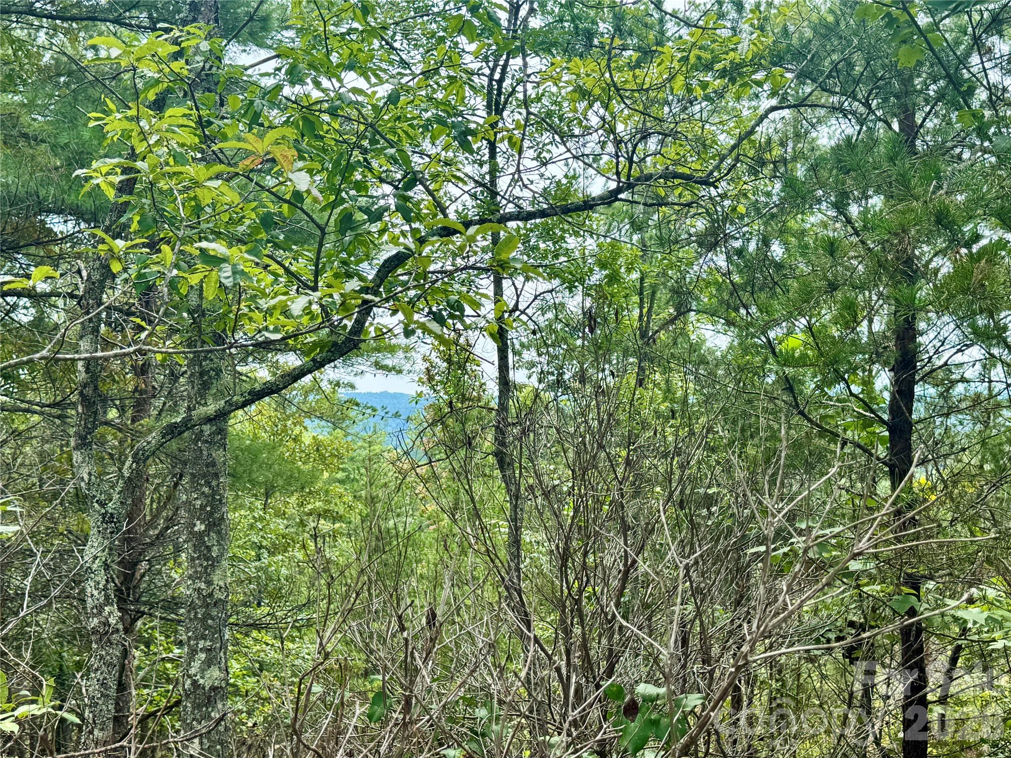 1.46 Acres, Lot 48 Tomahawk Ridge Drive Lot 48 Property Photo 13