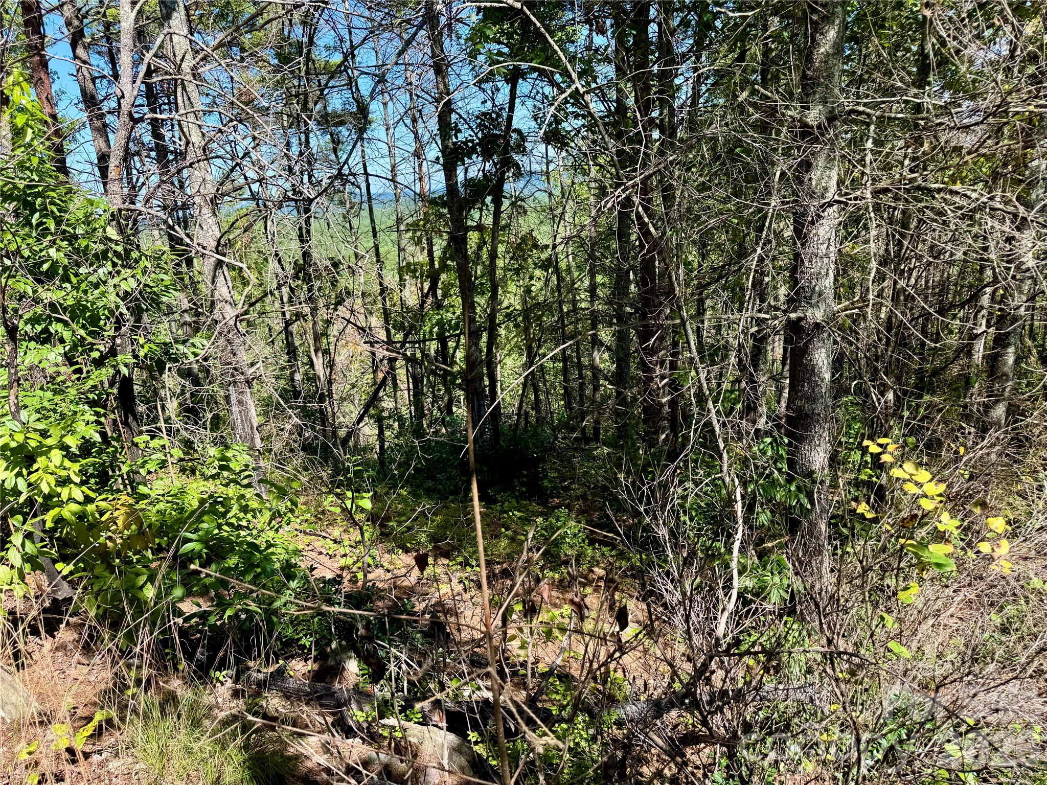 1.46 Acres, Lot 48 Tomahawk Ridge Drive Lot 48 Property Photo 14