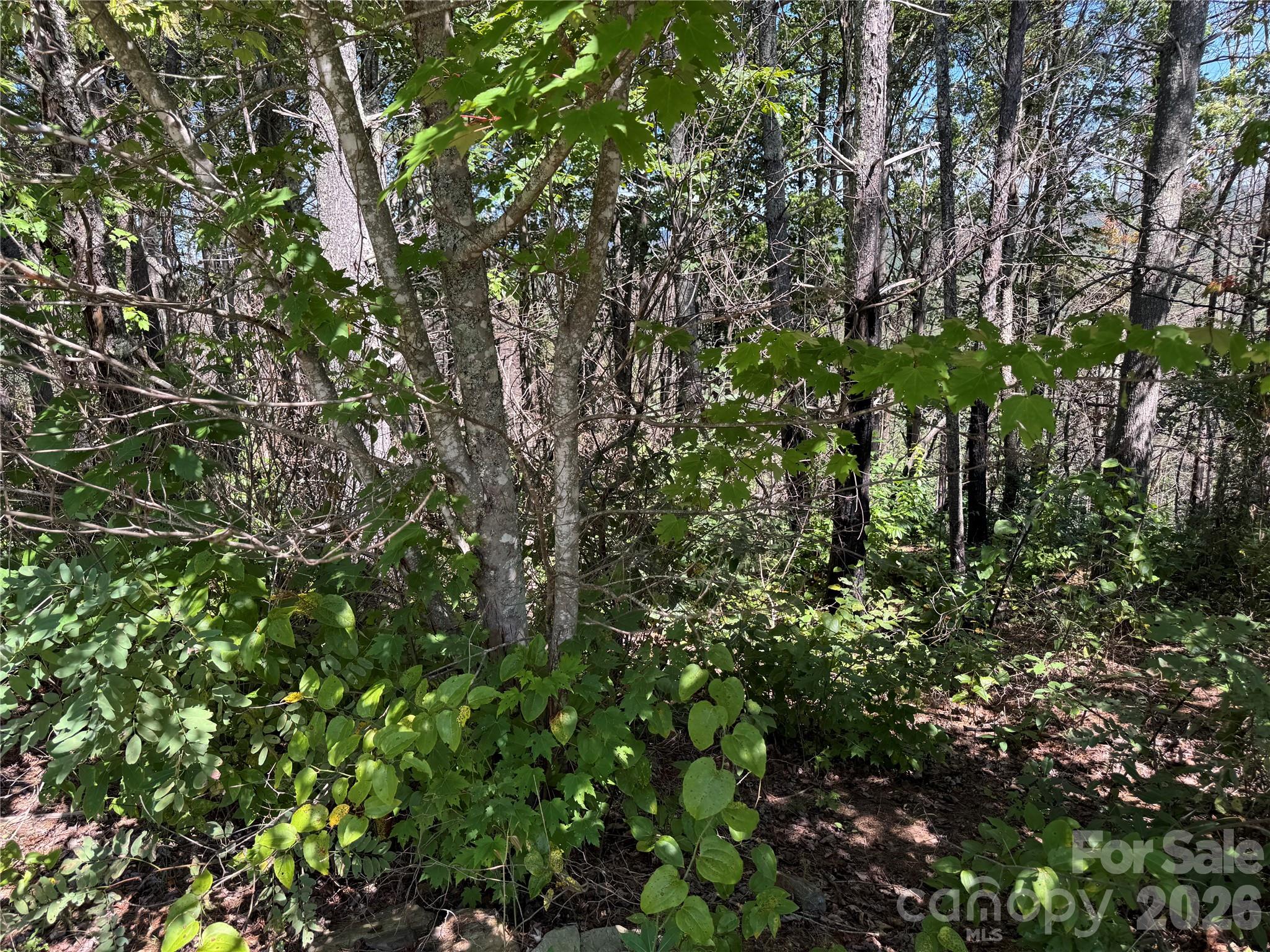 1.46 Acres, Lot 48 Tomahawk Ridge Drive Lot 48 Property Photo 15