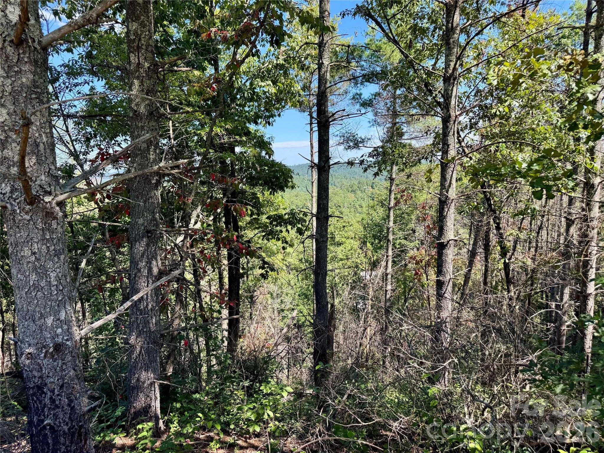 1.46 Acres, Lot 48 Tomahawk Ridge Drive Lot 48 Property Photo 16
