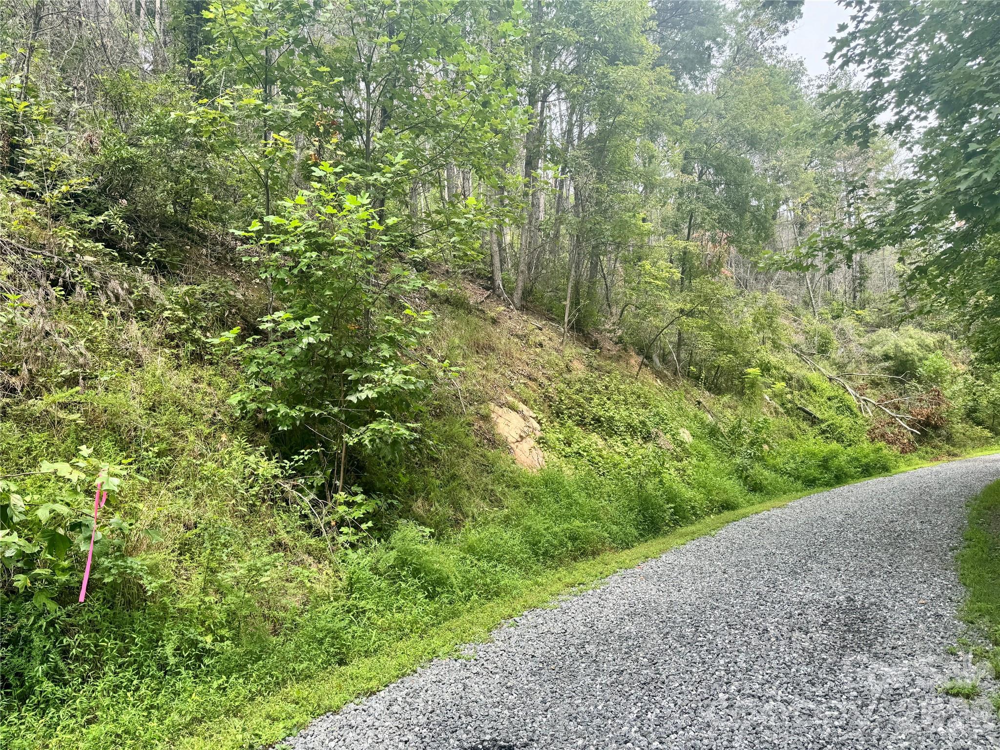 1.46 Acres, Lot 48 Tomahawk Ridge Drive Lot 48 Property Photo 18