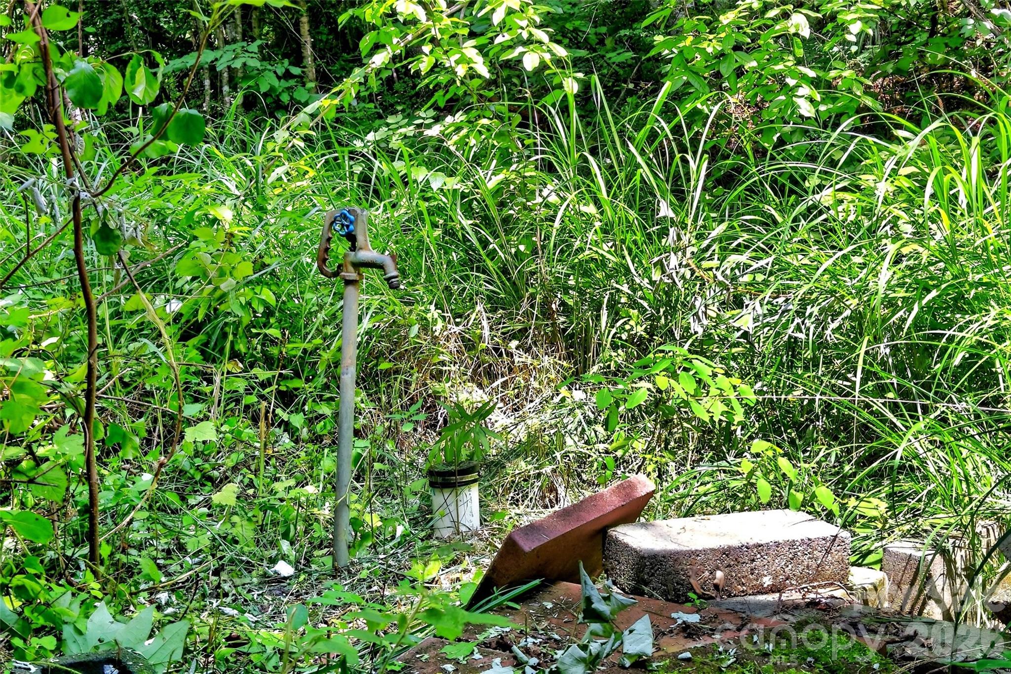111 Walkertown Road Property Photo 4