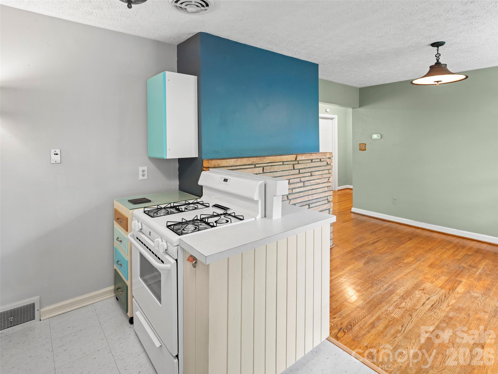 209 White Pine Drive Property Photo 19