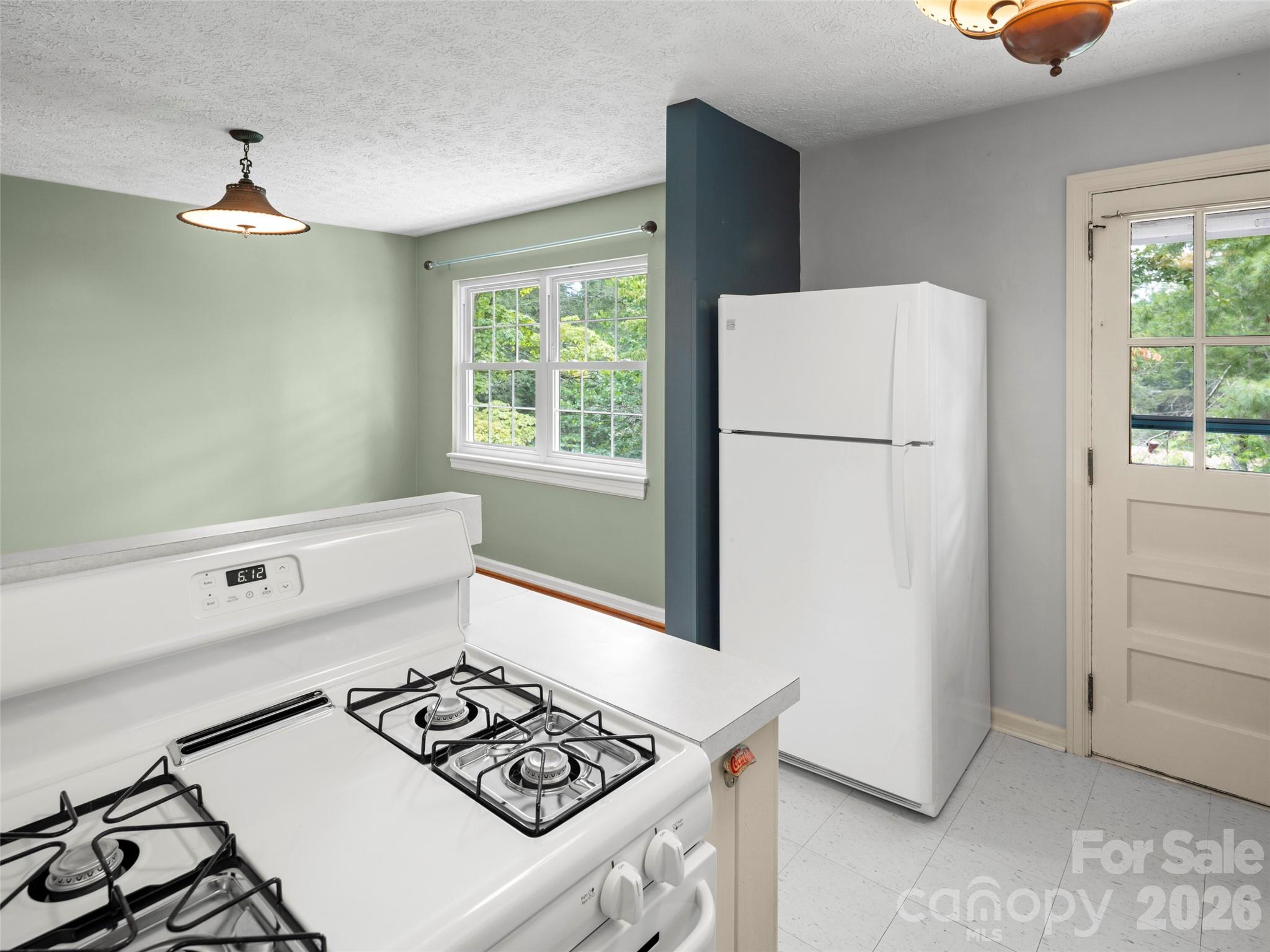 209 White Pine Drive Property Photo 20