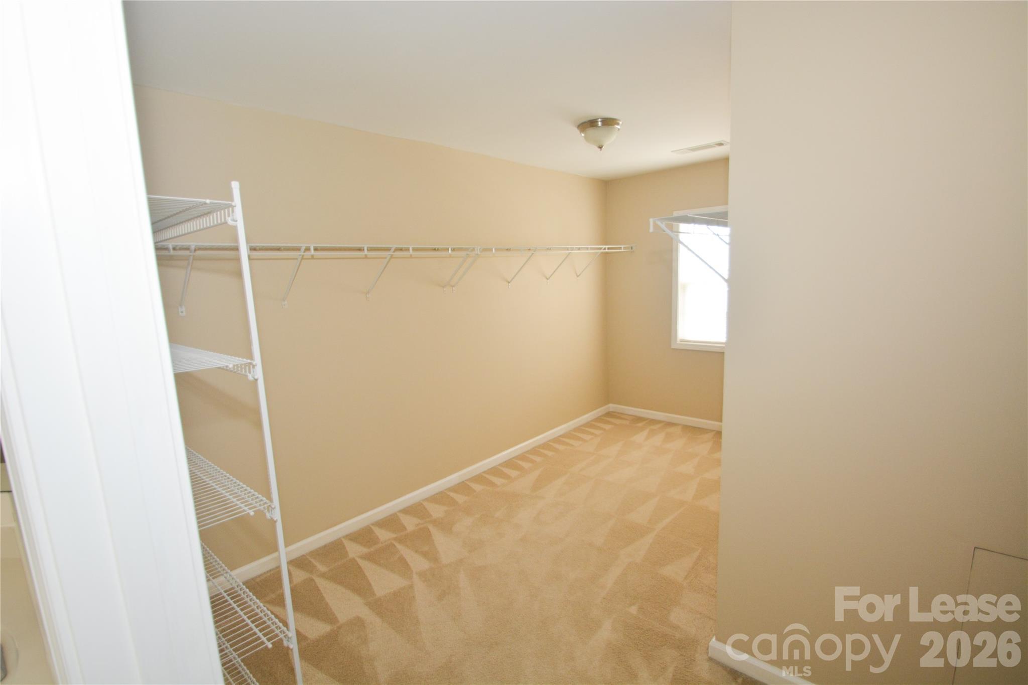 10605 Greenhead View Road Property Photo 22