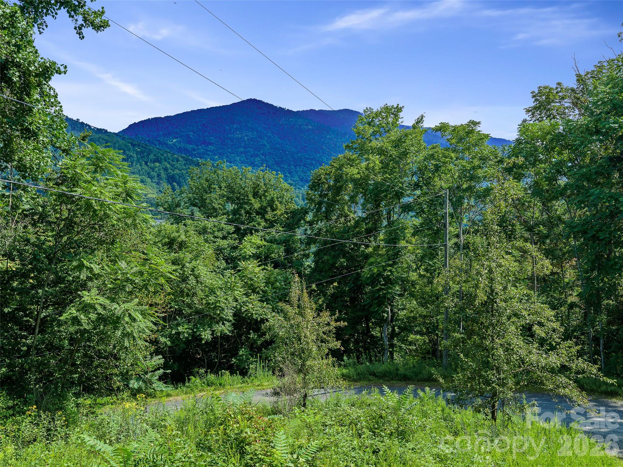 Lot #63-65 Bear Ridge Road Property Photo 1