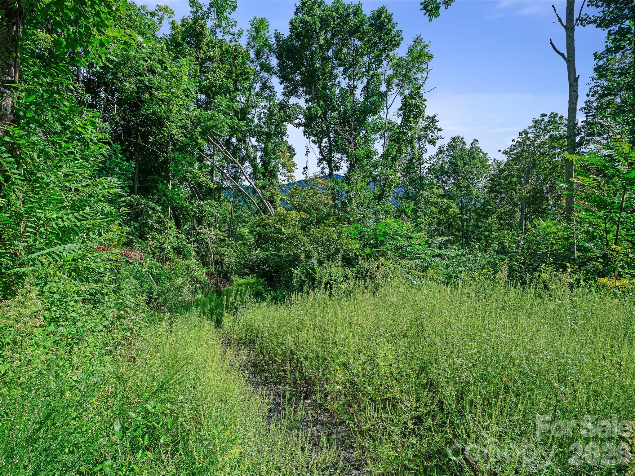 Lot #63-65 Bear Ridge Road Property Photo 2