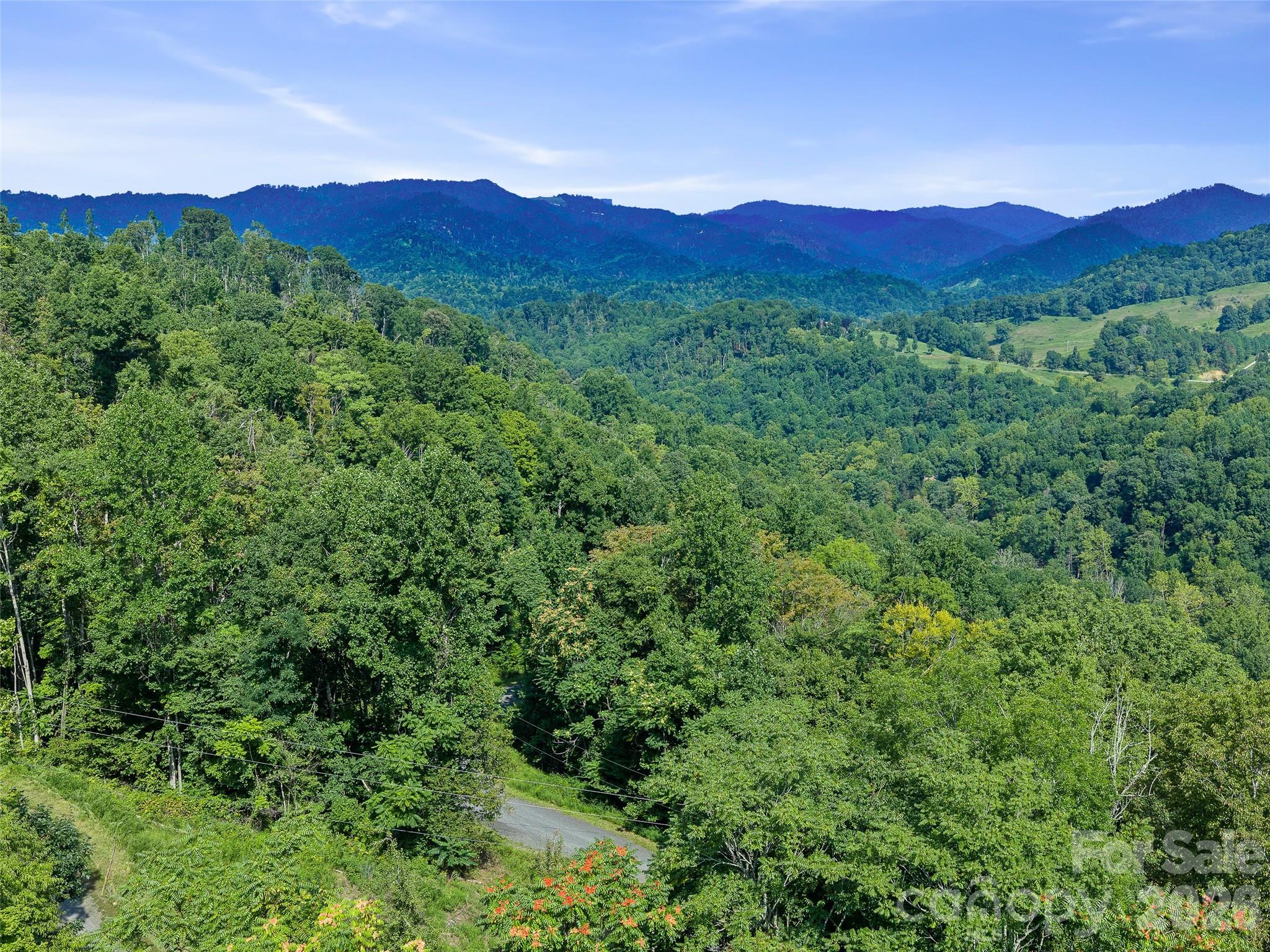 Lot #63-65 Bear Ridge Road Property Photo 3