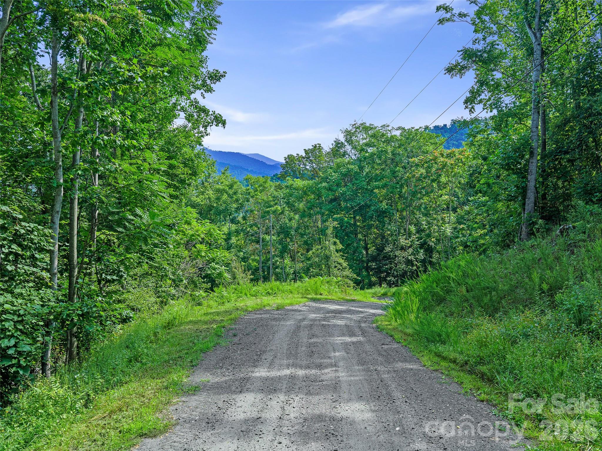 Lot #63-65 Bear Ridge Road Property Photo 4