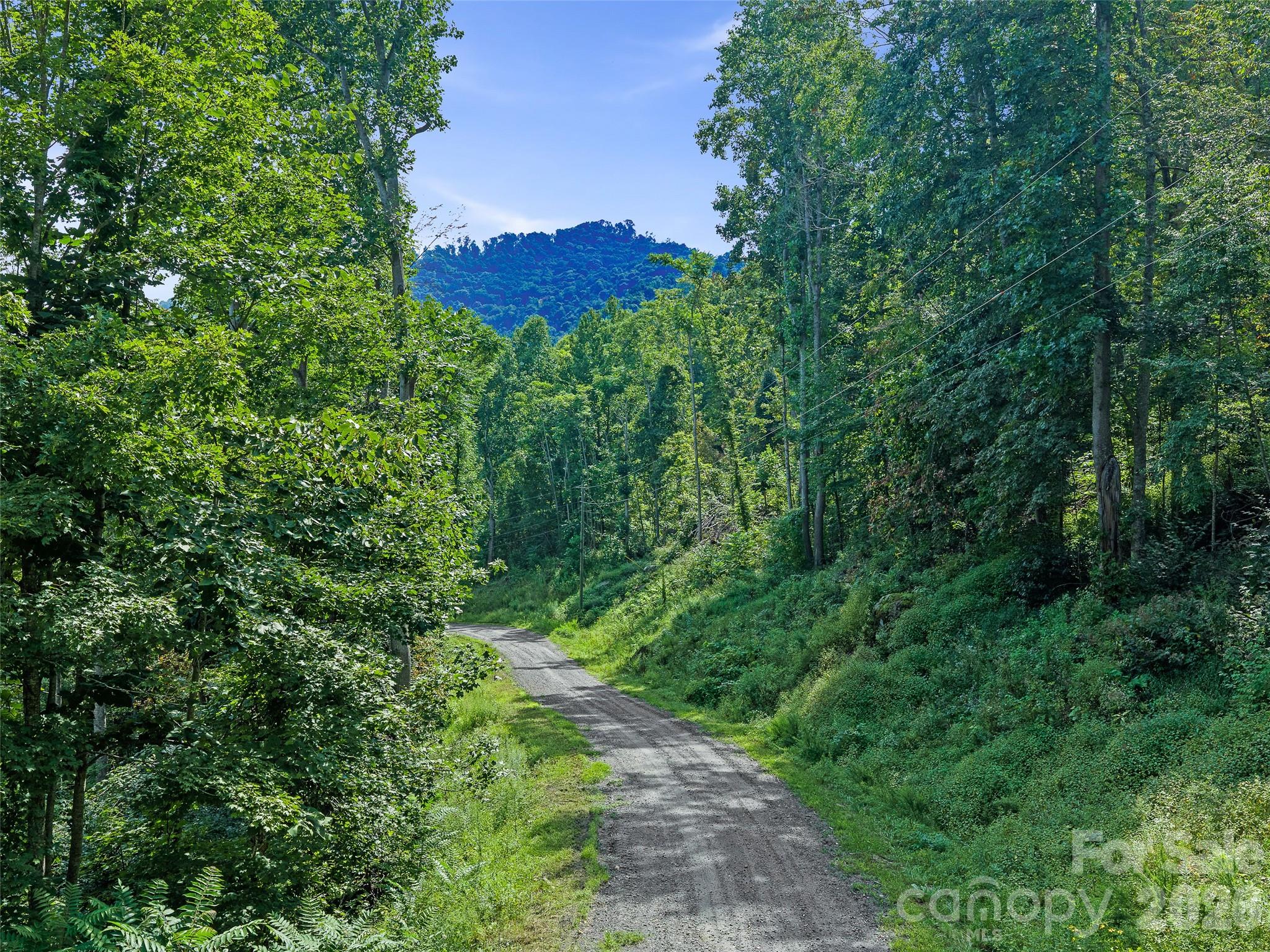 Lot #63-65 Bear Ridge Road Property Photo 6