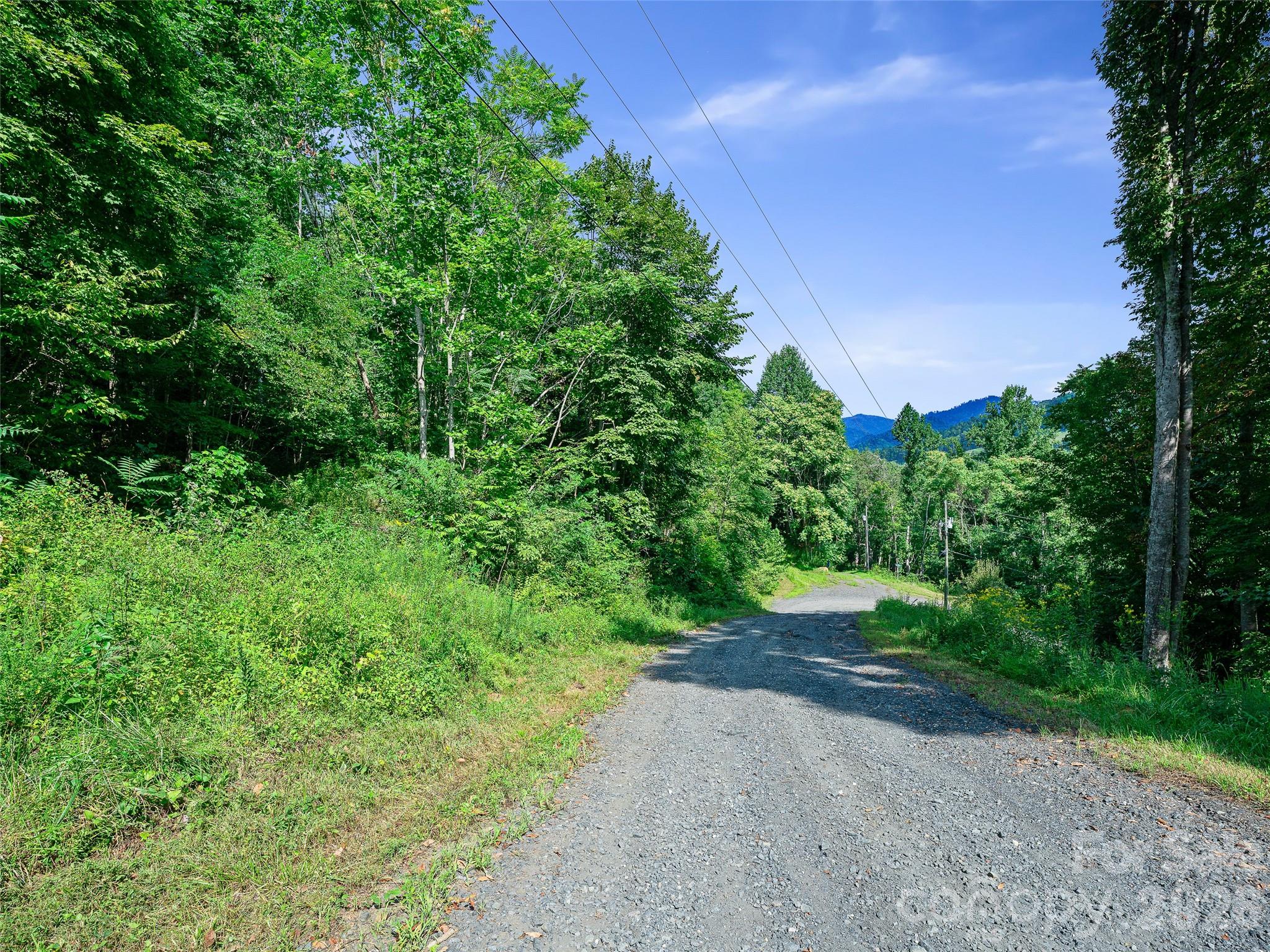 Lot #63-65 Bear Ridge Road Property Photo 7