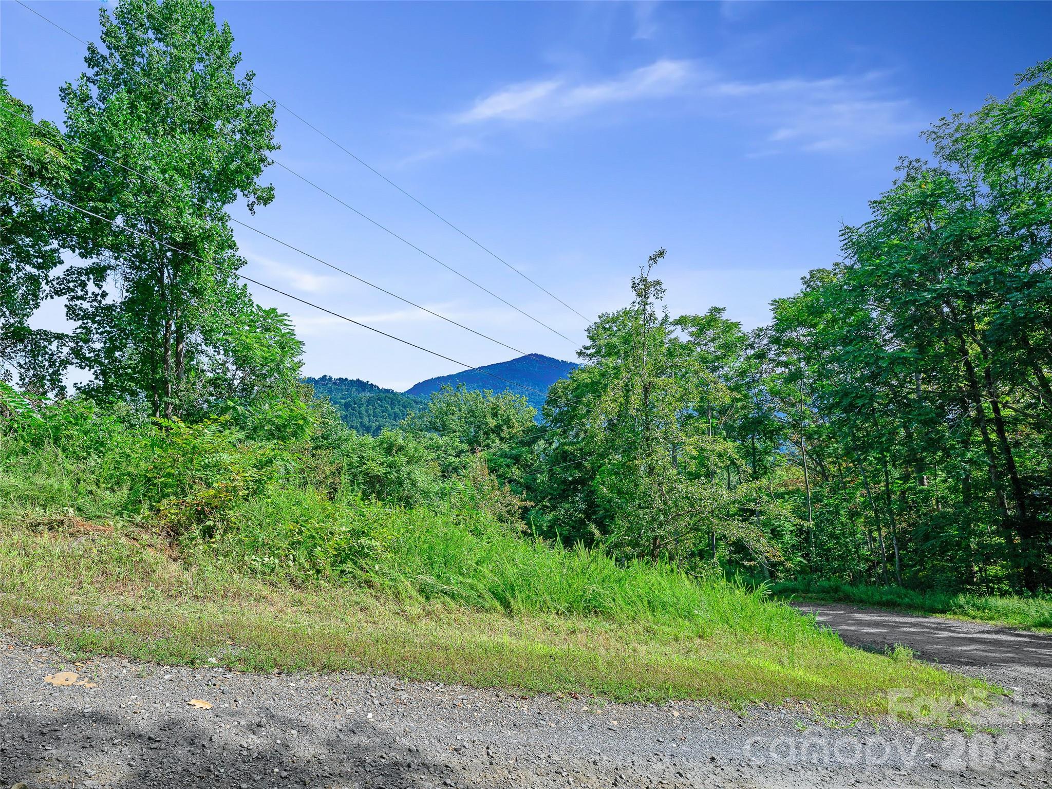 Lot #63-65 Bear Ridge Road Property Photo 8
