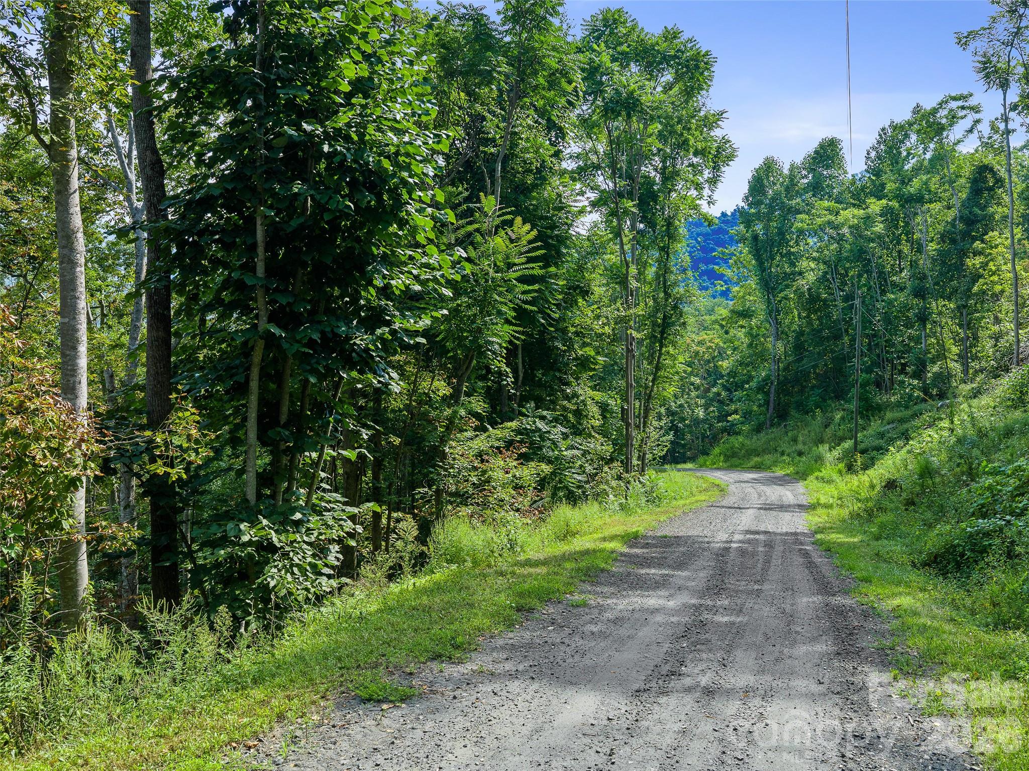 Lot #63-65 Bear Ridge Road Property Photo 9