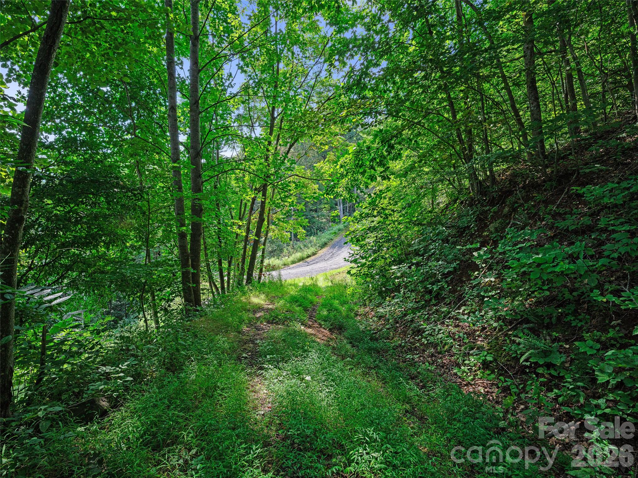 Lot #63-65 Bear Ridge Road Property Photo 10
