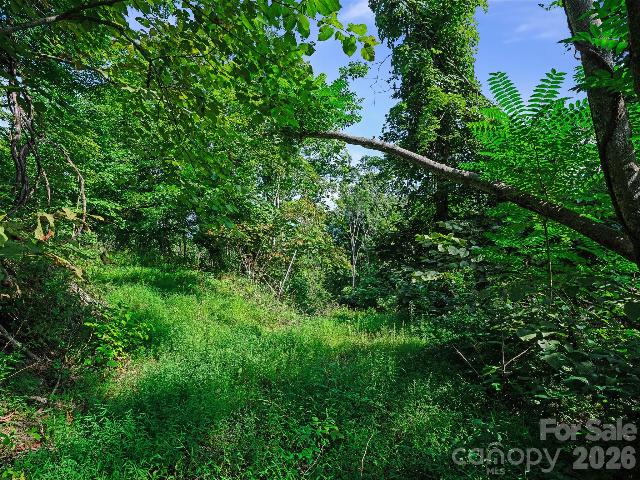 Lot #63-65 Bear Ridge Road Property Photo 11