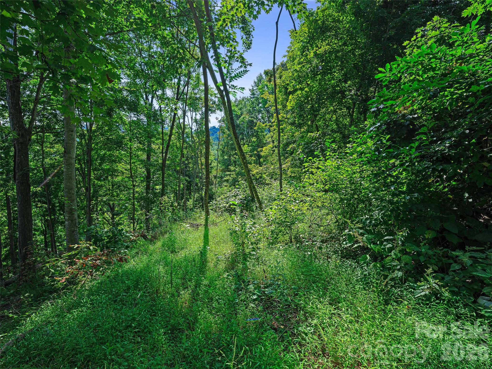 Lot #63-65 Bear Ridge Road Property Photo 12