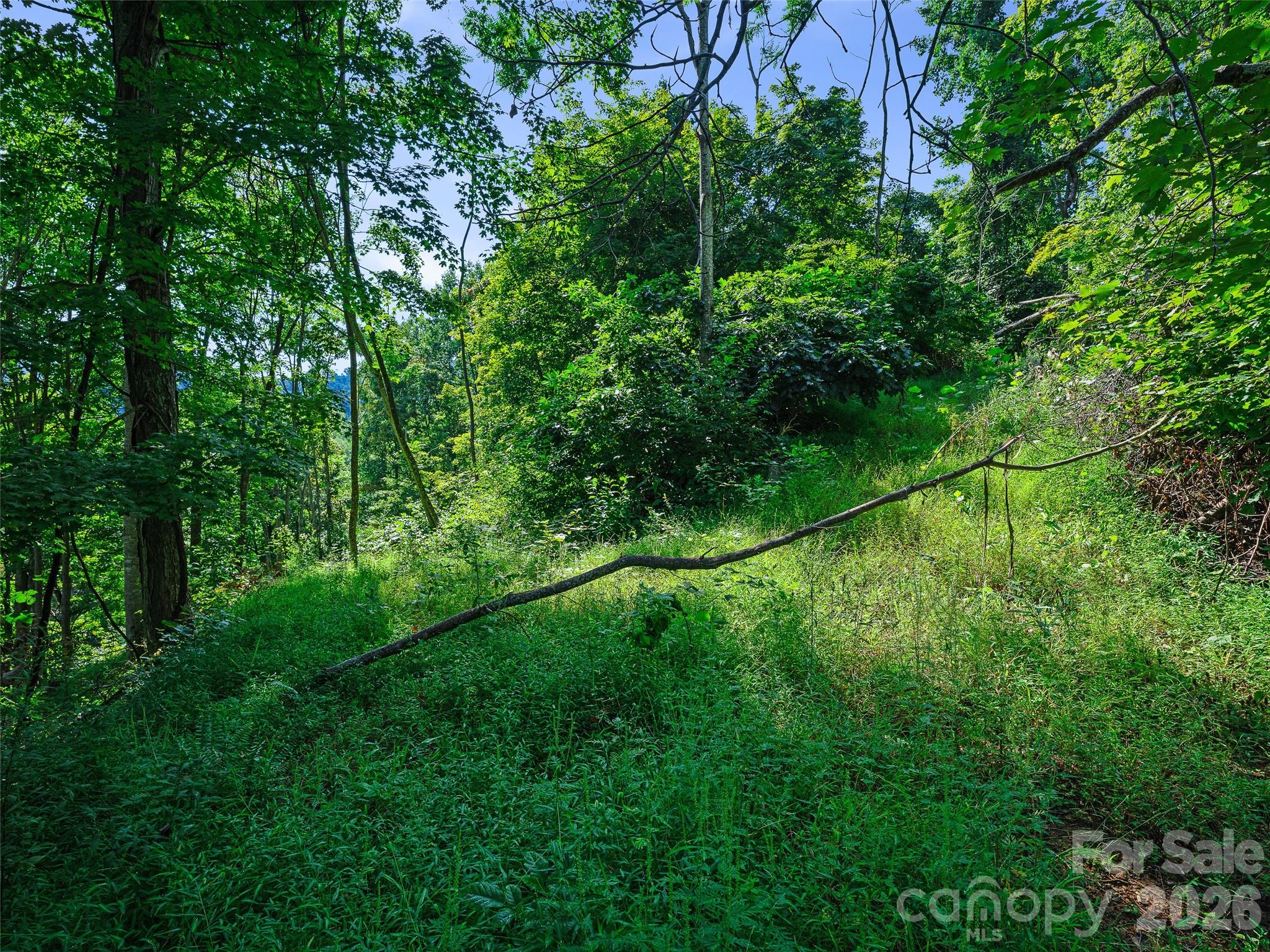 Lot #63-65 Bear Ridge Road Property Photo 13