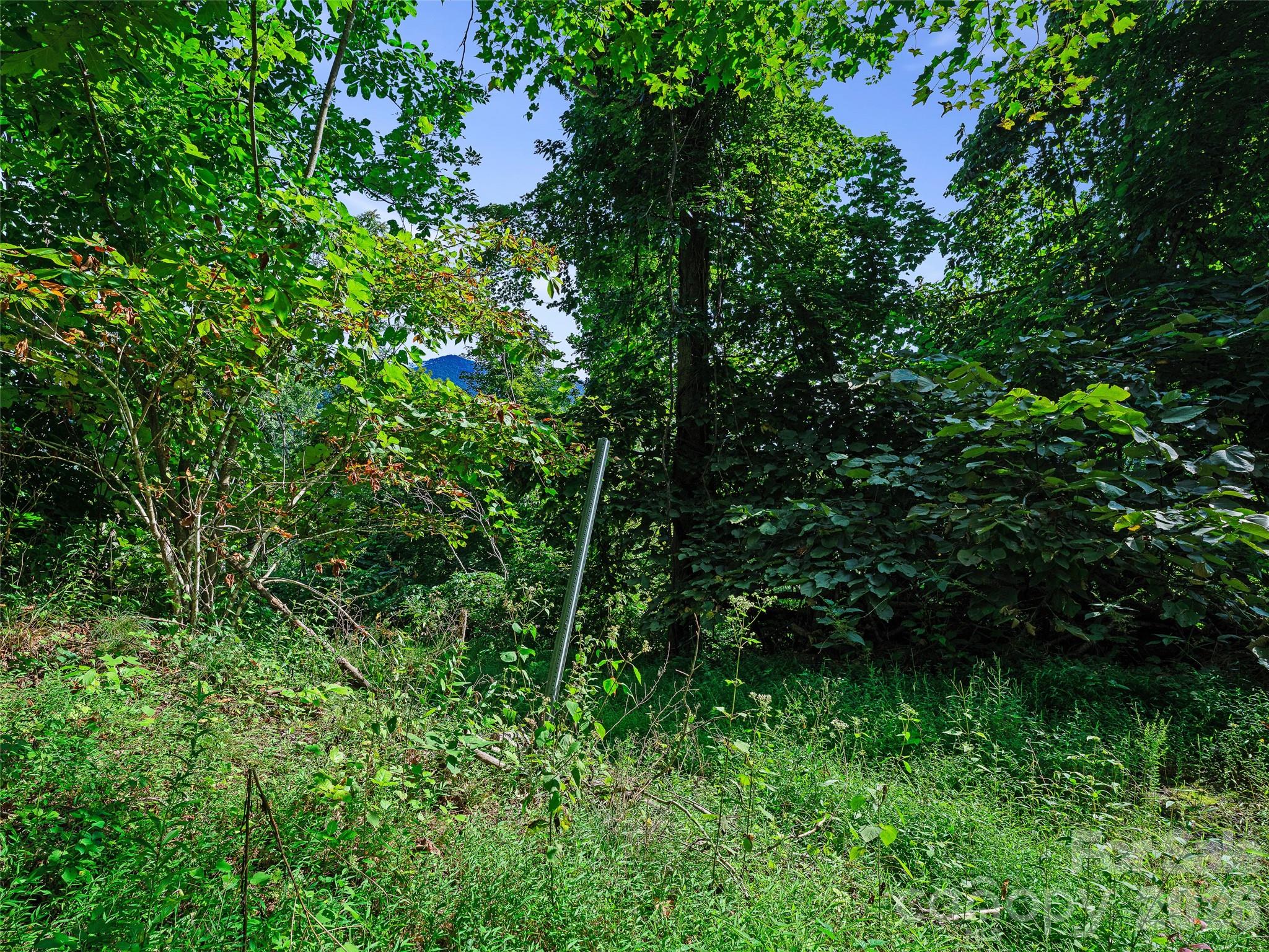 Lot #63-65 Bear Ridge Road Property Photo 14