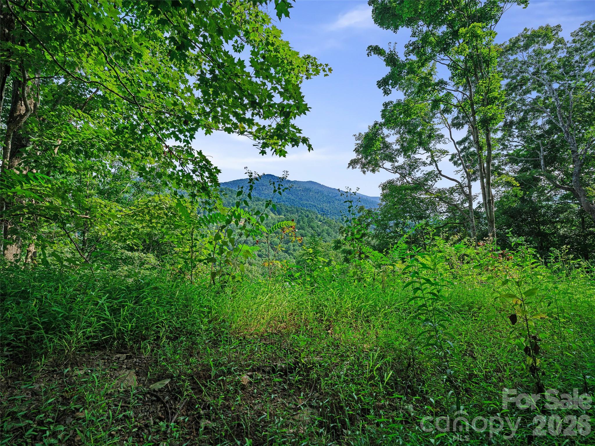 Lot #63-65 Bear Ridge Road Property Photo 15