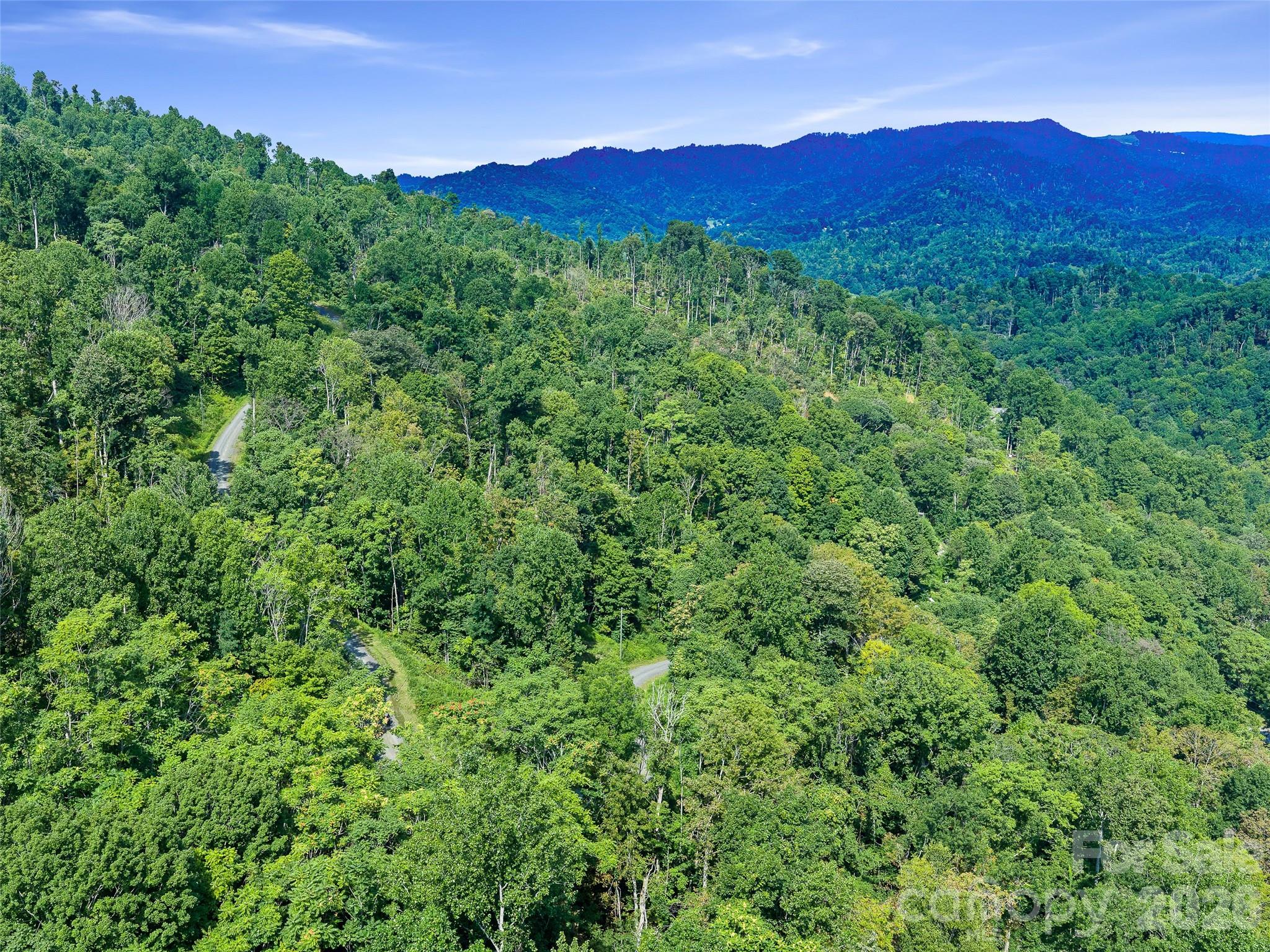 Lot #63-65 Bear Ridge Road Property Photo 18
