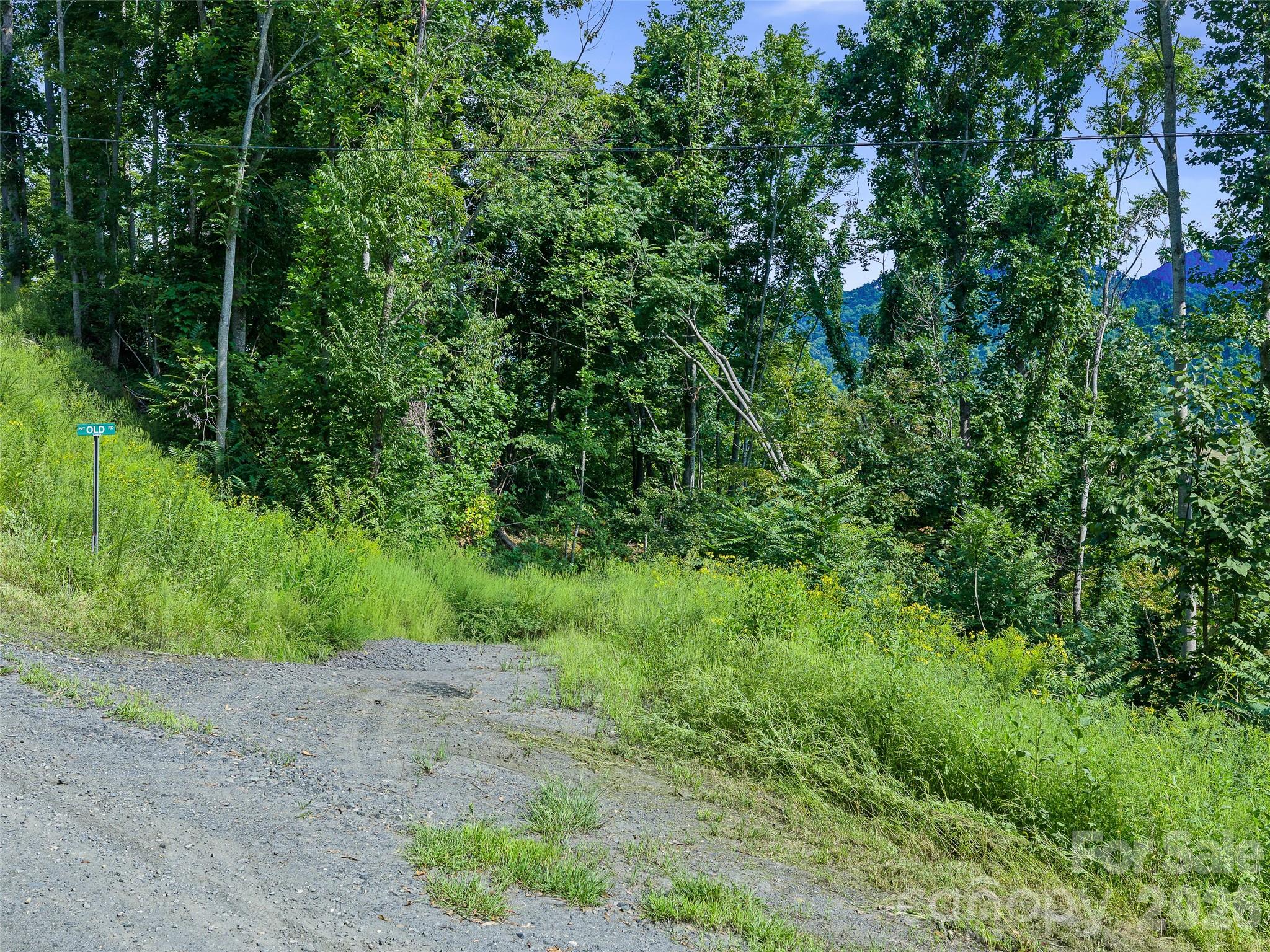 Lot #63-65 Bear Ridge Road Property Photo 19