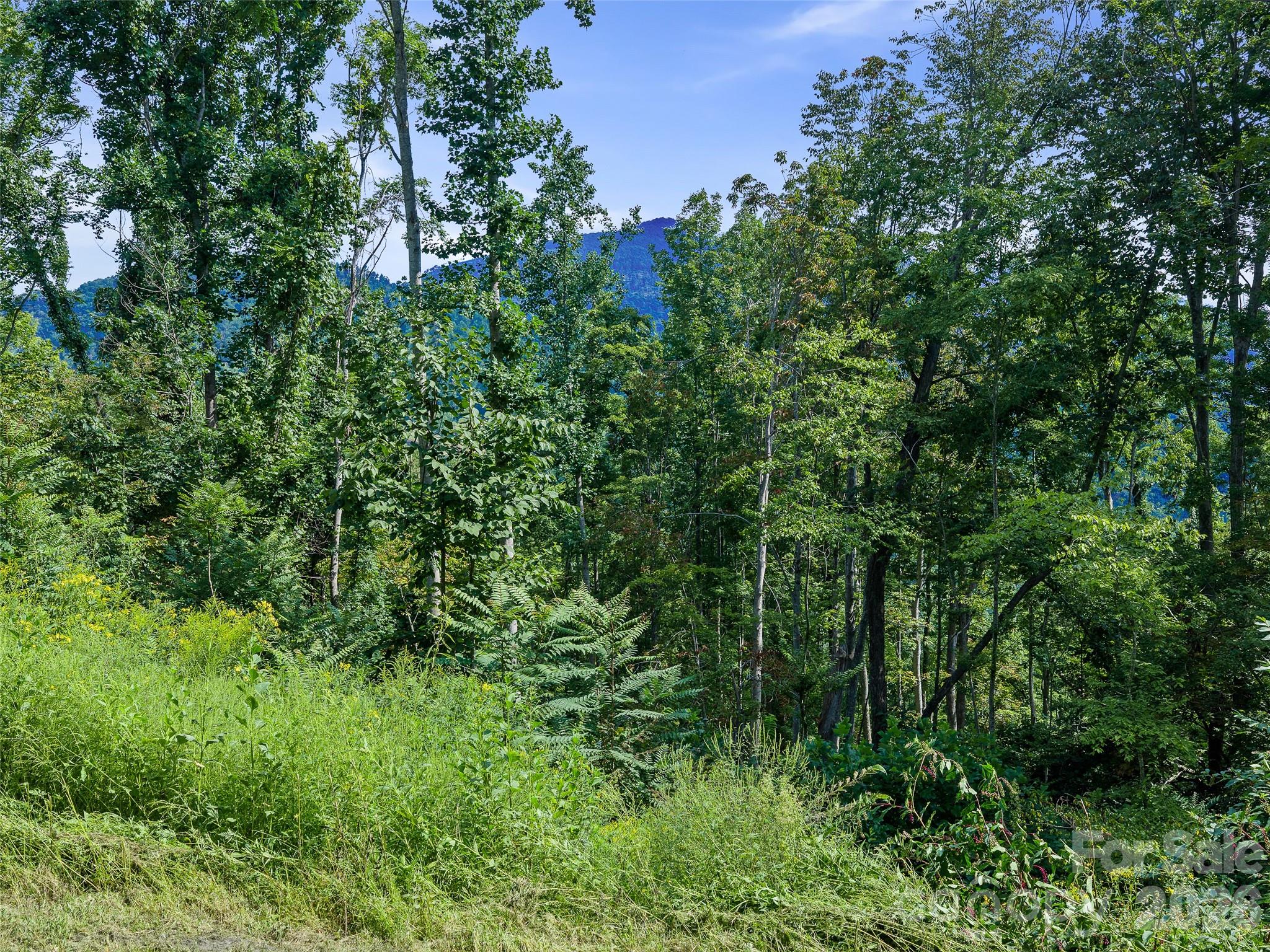 Lot #63-65 Bear Ridge Road Property Photo 20