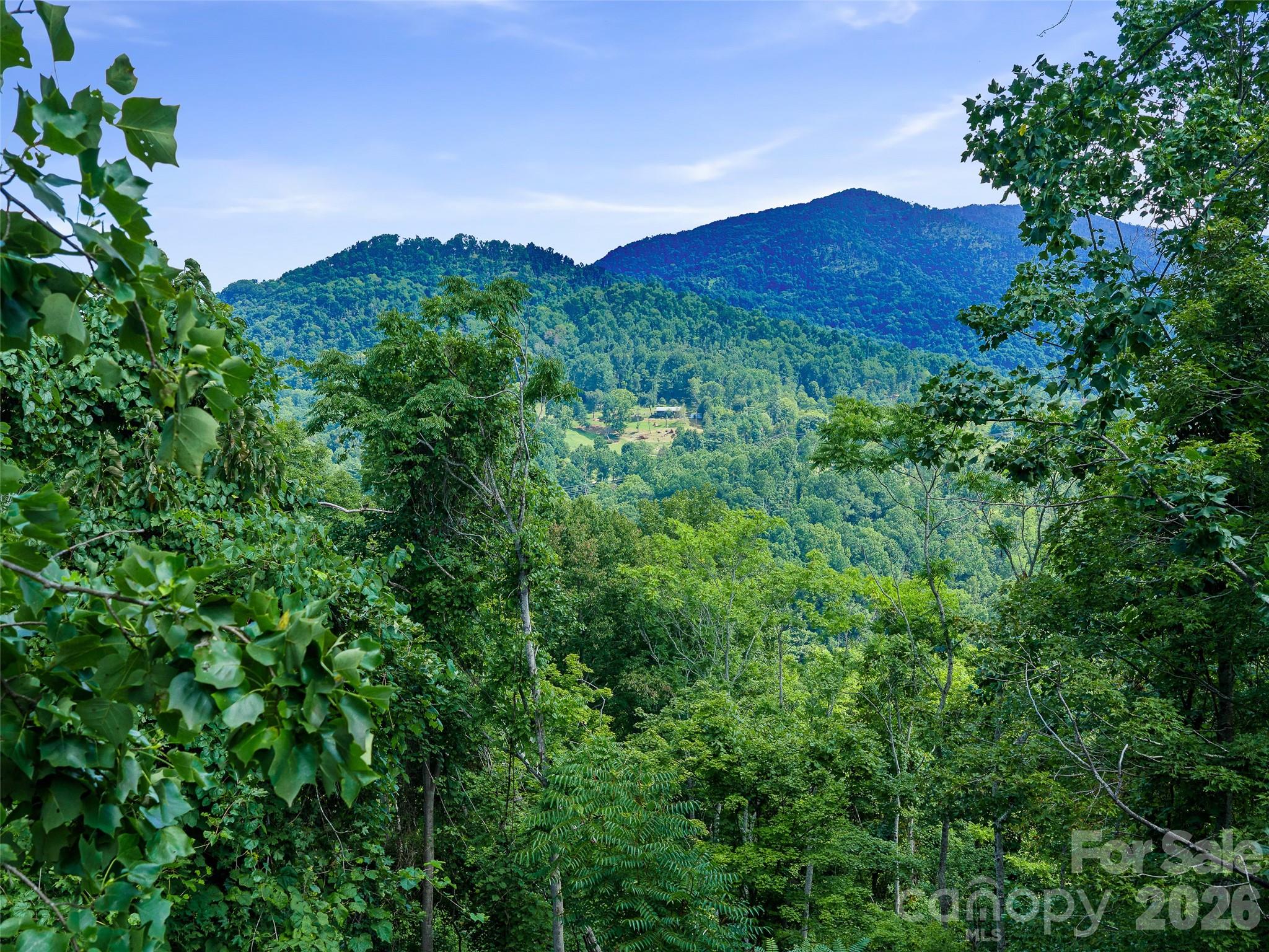 Lot #63-65 Bear Ridge Road Property Photo 21