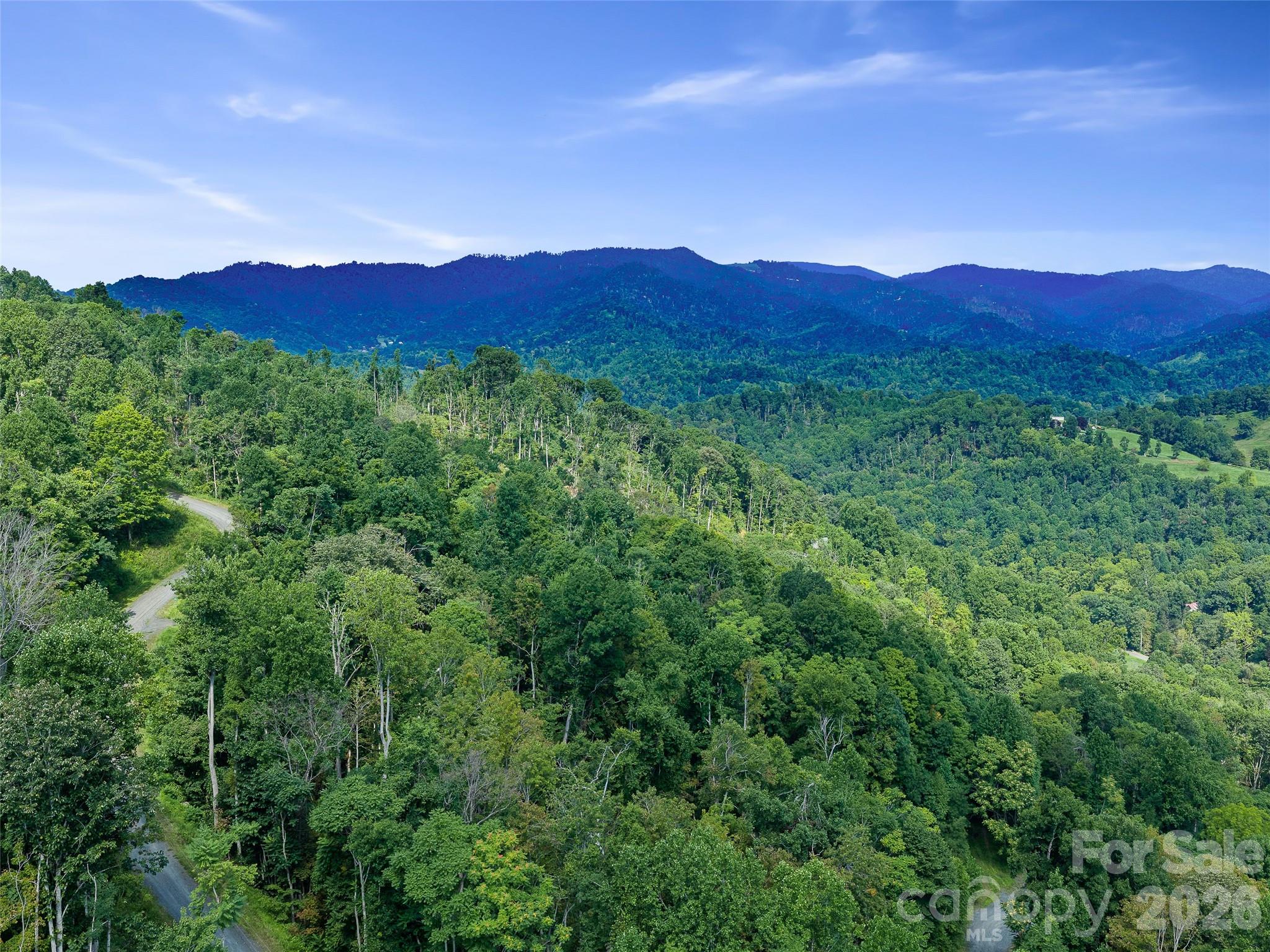 Lot #63-65 Bear Ridge Road Property Photo 27