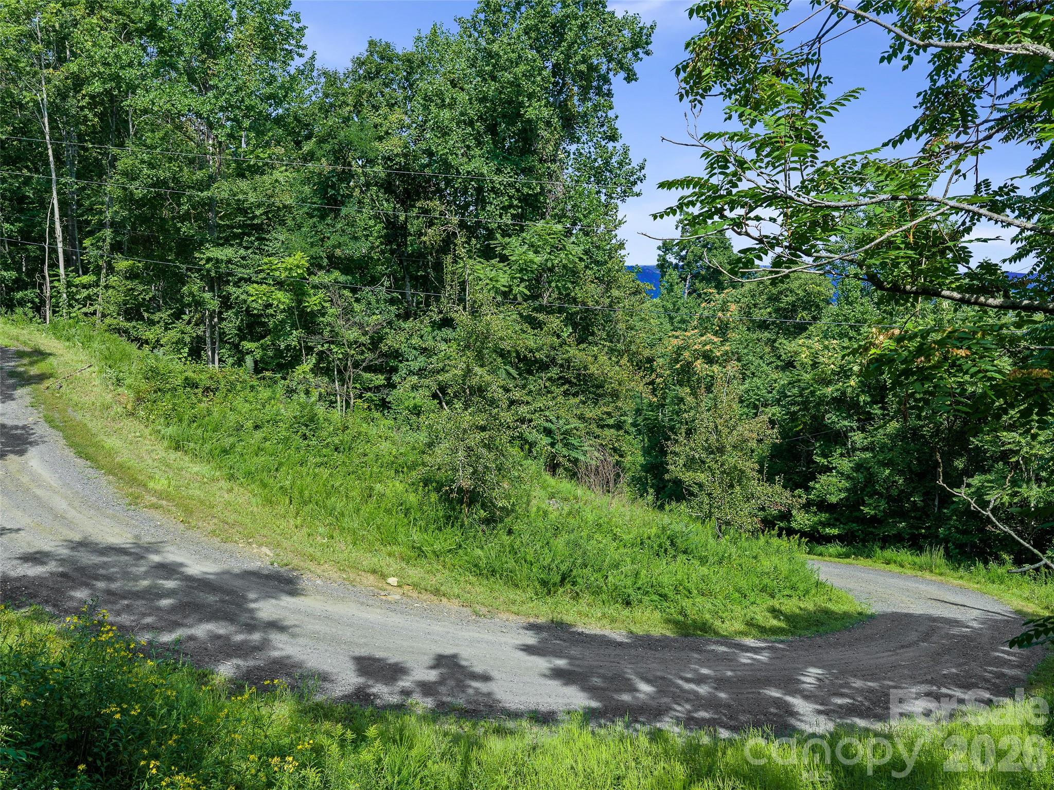 Lot #63-65 Bear Ridge Road Property Photo 28