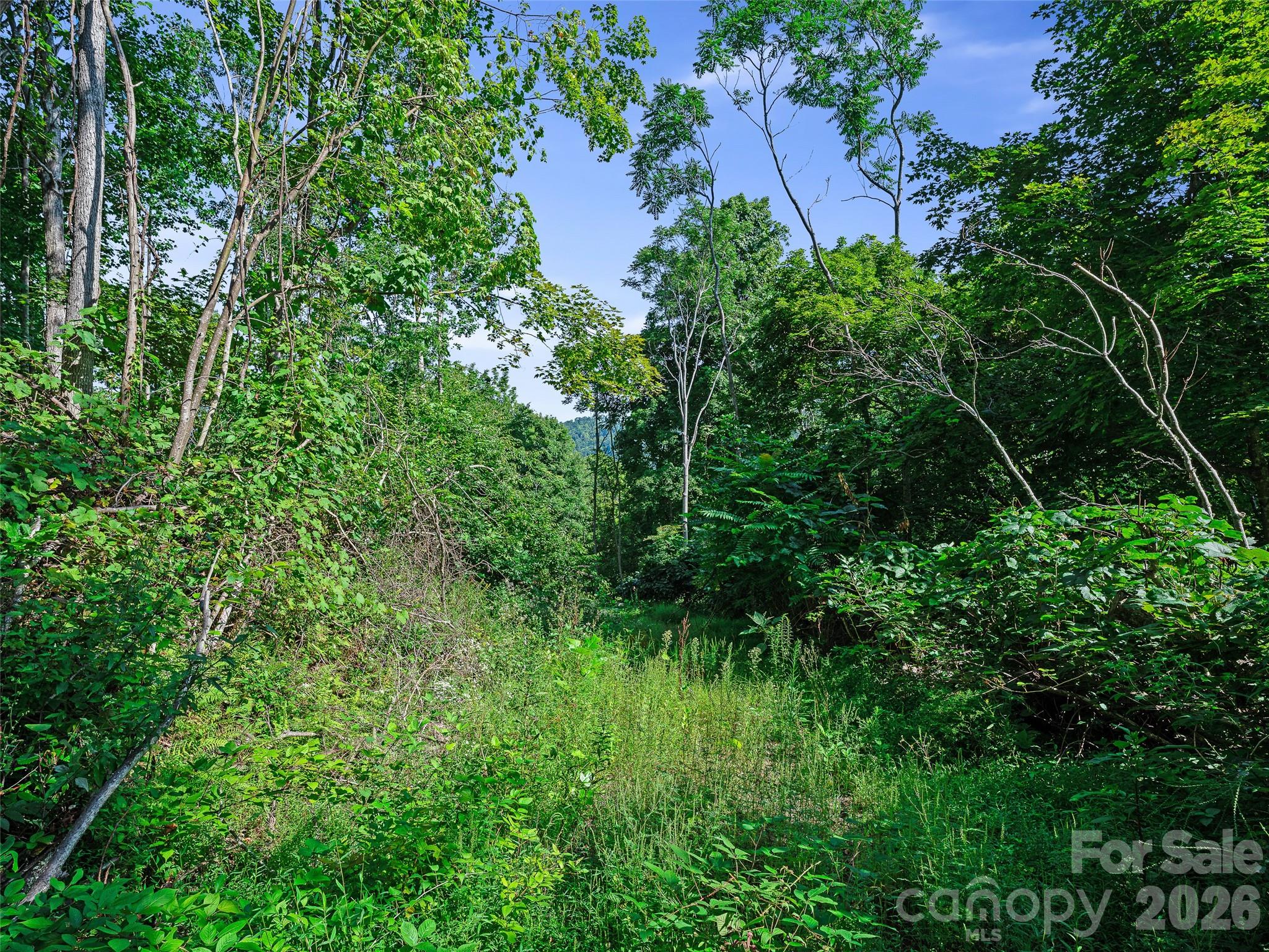 Lot #63-65 Bear Ridge Road Property Photo 29