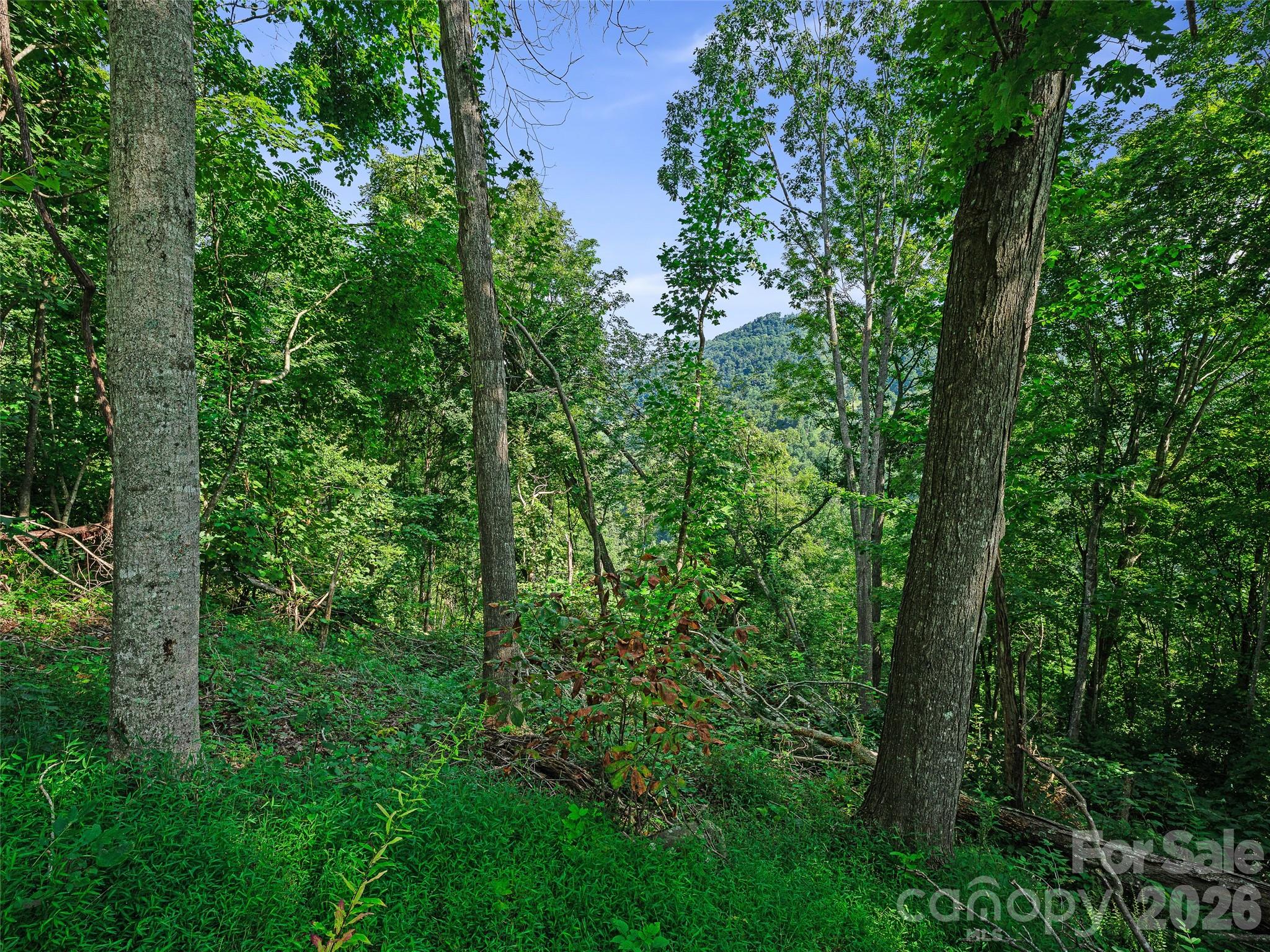 Lot #63-65 Bear Ridge Road Property Photo 30